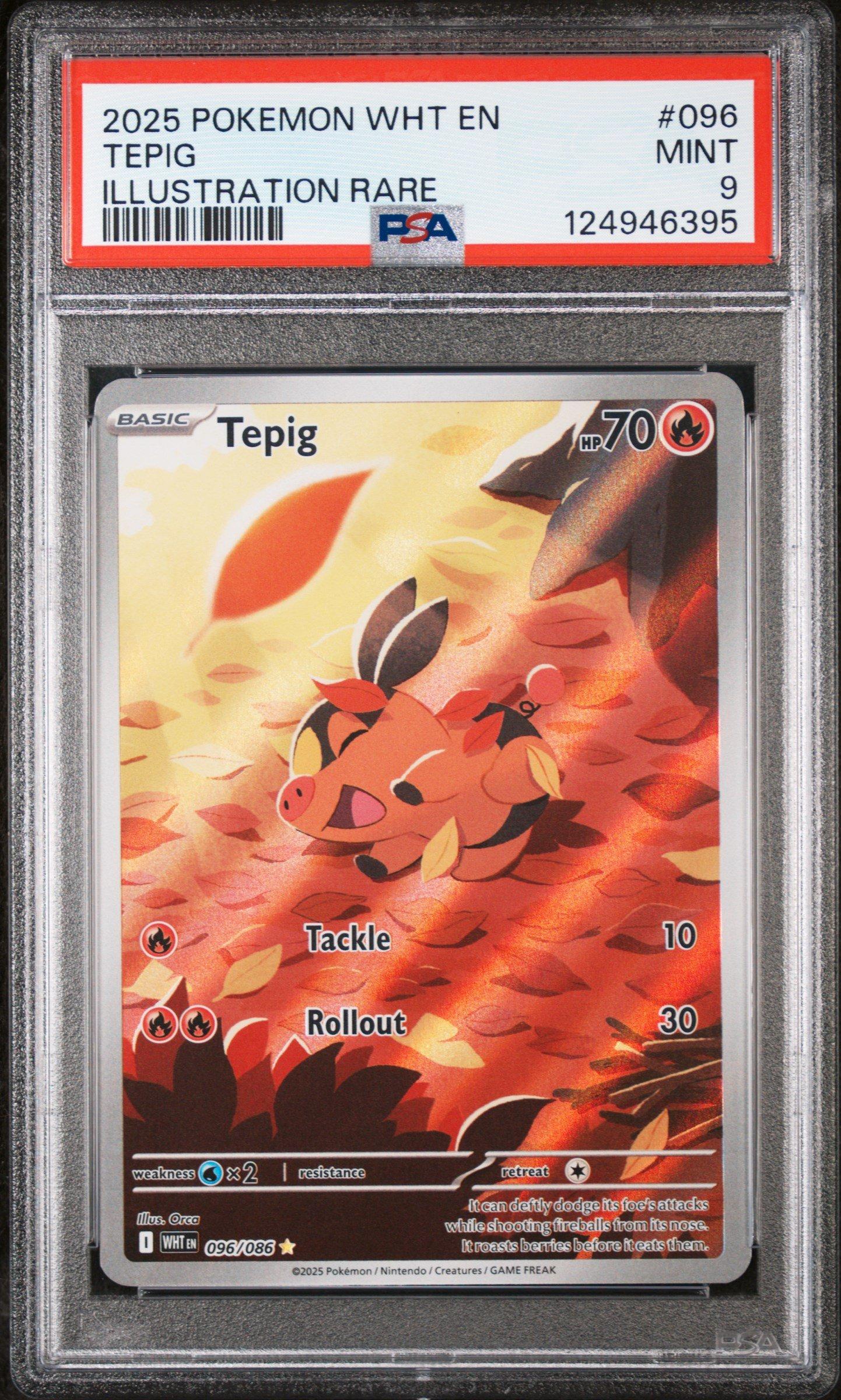 2025 Pokemon Wht En-white Flare 096 Tepig Illustration Rare PSA 9 Graded  Card | GameStop
