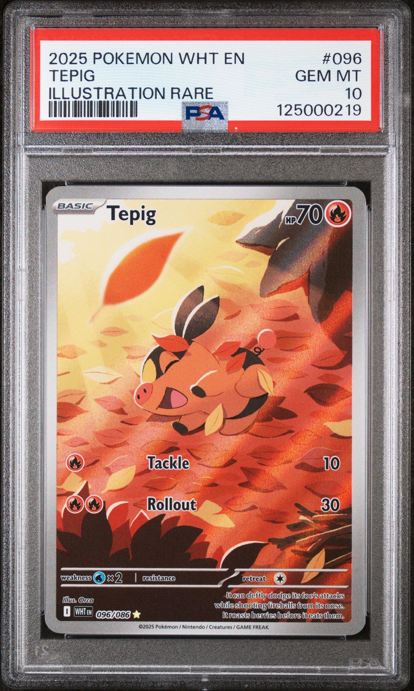2025 Pokemon Wht En-white Flare 096 Tepig Illustration Rare PSA 10