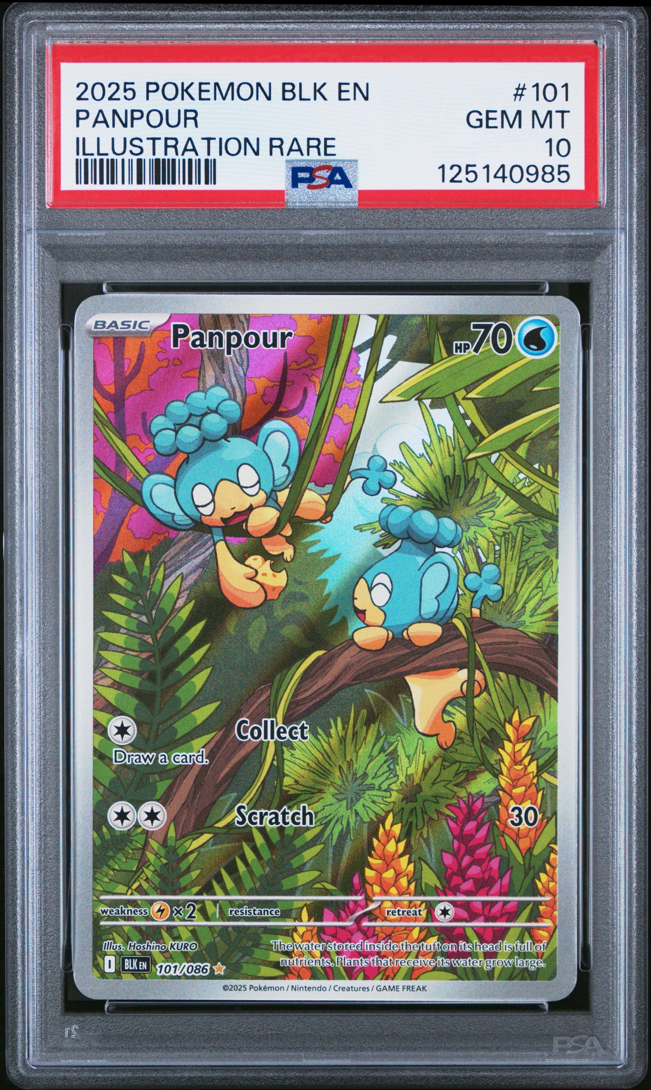 panpour pokemon card SV11B 105/086 AR Pokmon Hit Points70 HP Form 2025 Pokemon Blk En-black Bolt