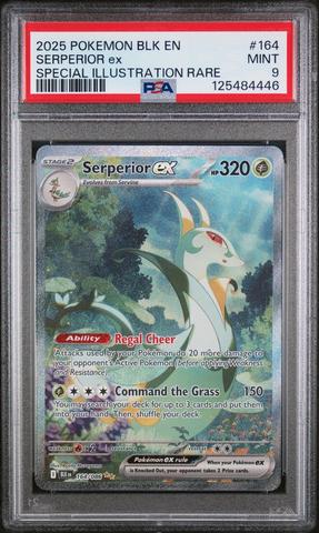 2025 Pokemon Blk En-black Bolt 167 Meloetta Ex Special