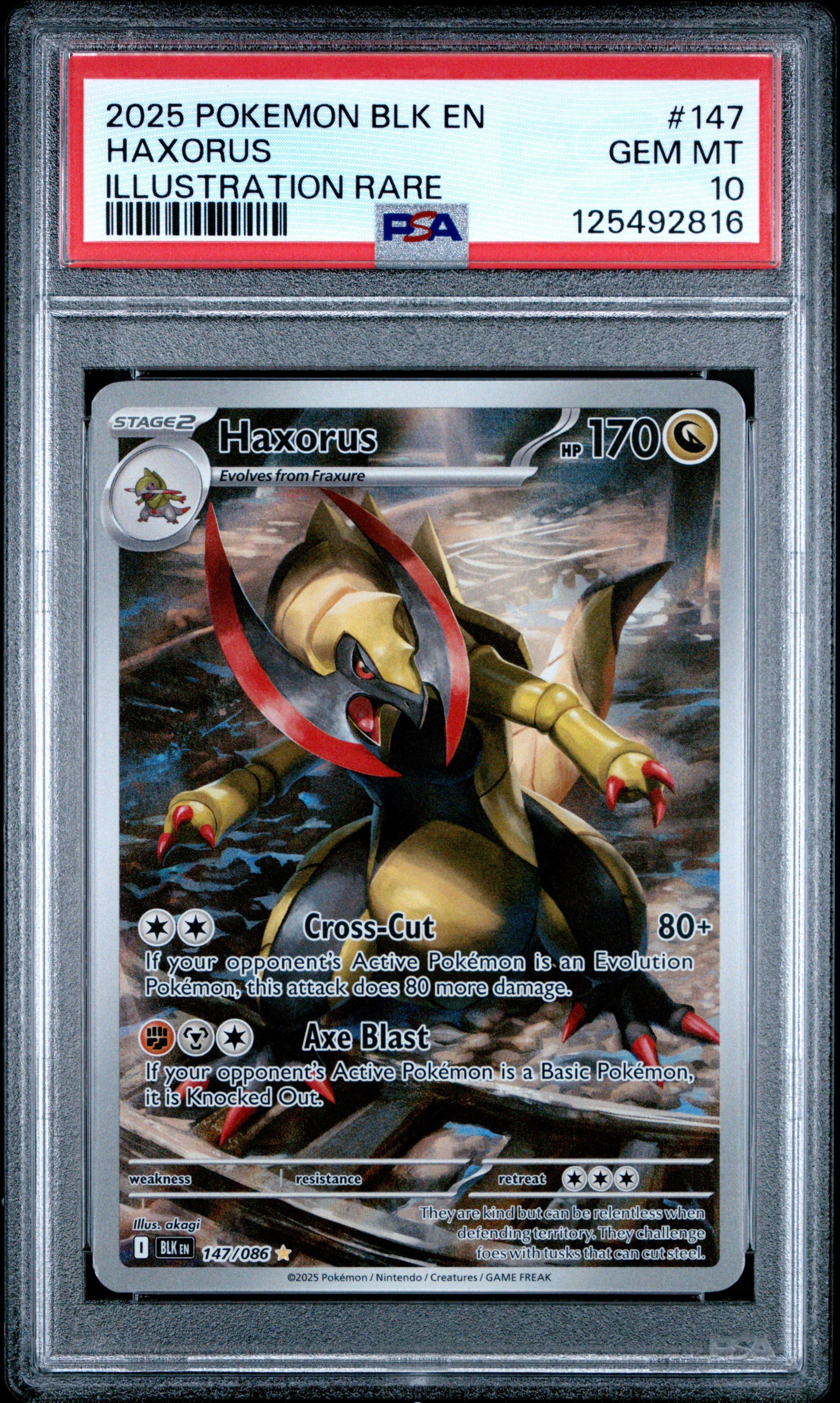 ‼️特価‼️ ヤランゾ　ウルシク　　PSA10 2025 Pokemon Blk En-black Bolt 147 Haxorus Illustration Rare PSA