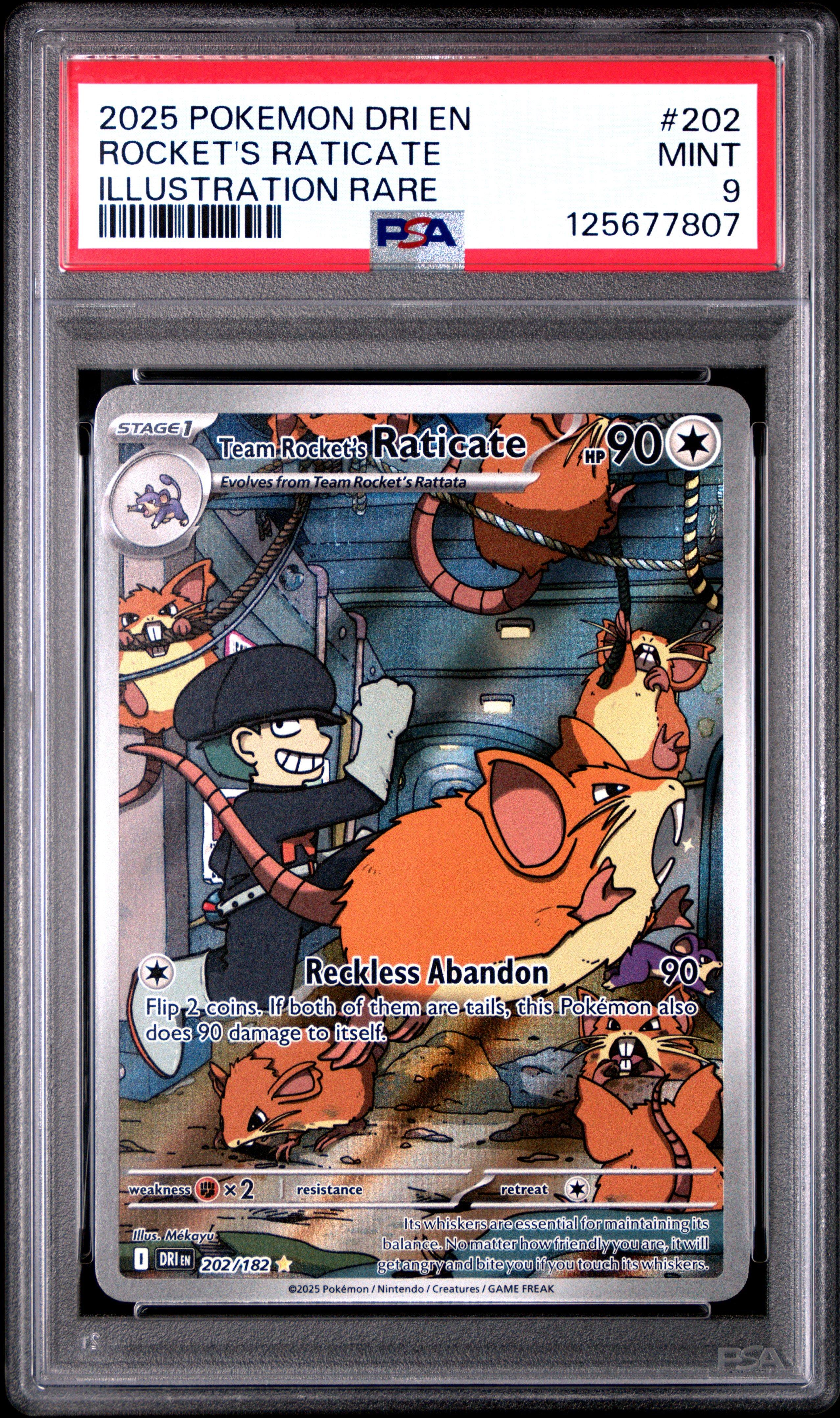 2025 Pokemon Dri En-destined Rivals 202 Team Rocket's Raticate