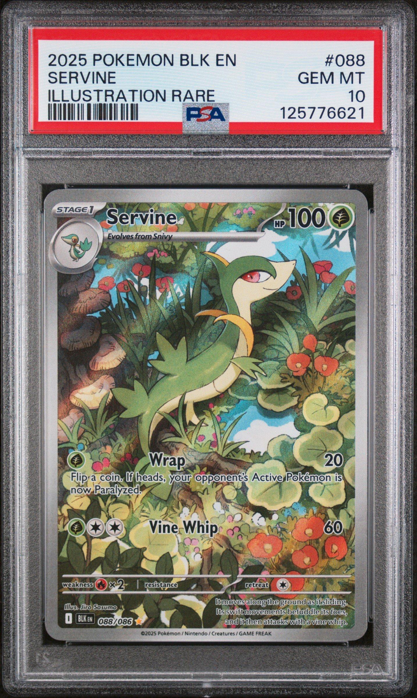 servine pokemon card 2025 Pokemon Blk En-black Bolt 088 Servine Illustration Rare PSA 10 Graded  Card