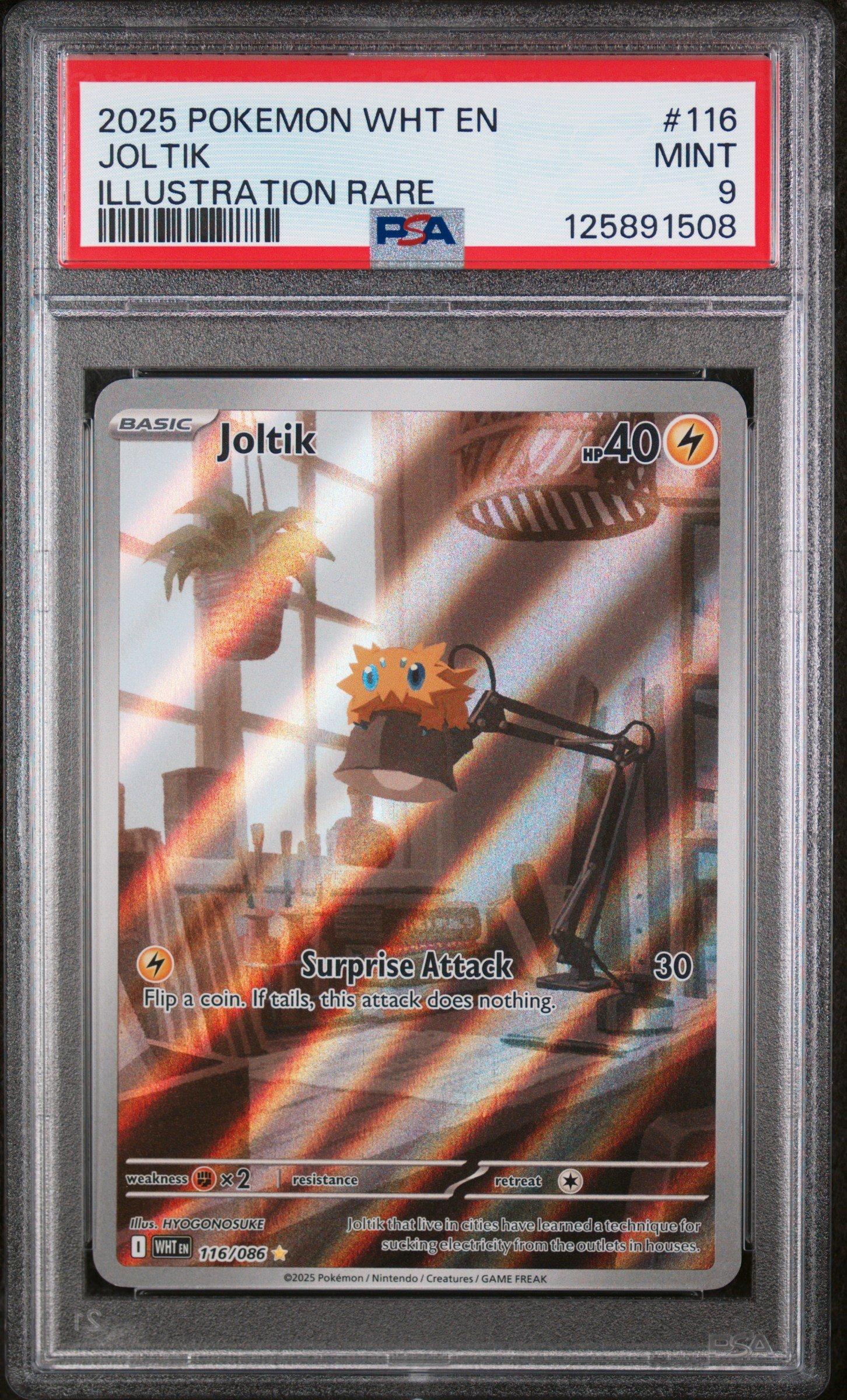 pokemon card joltik POKMON GAME sv3a 016/062 C Colorless Artist 2025 Pokemon Wht En-white Flare