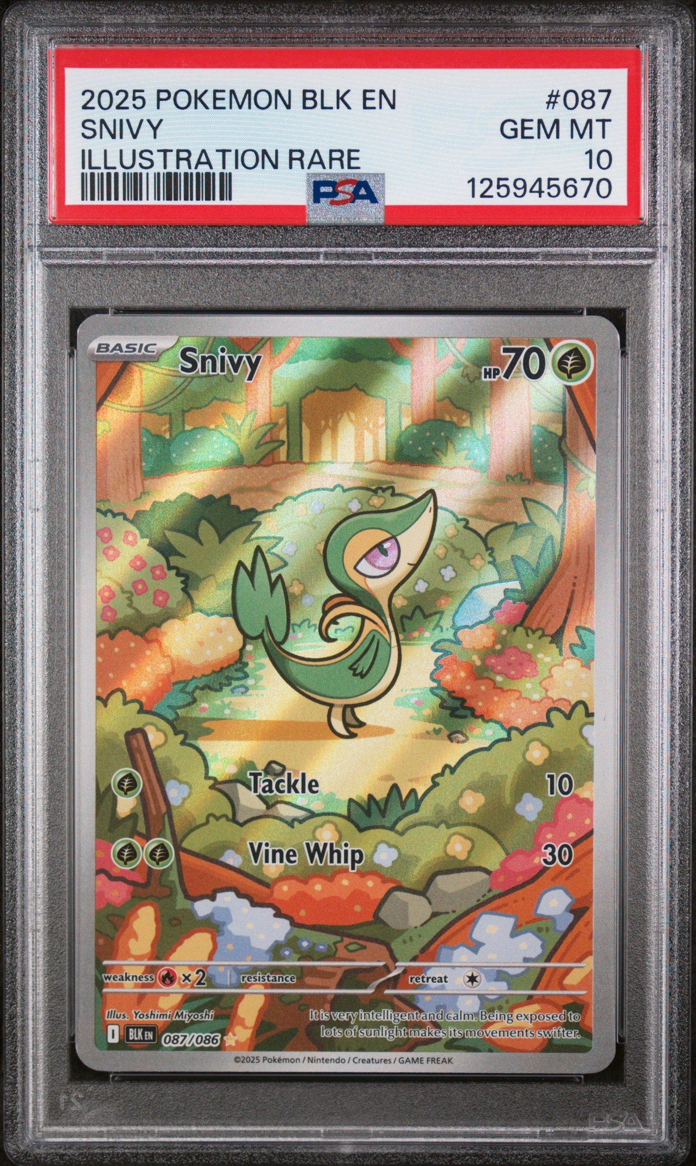 【PSA10】ウインディ：Pokémon Trading イラストレーション PSA10 ポケモンカード ウインディ プロモ イラストレーション
