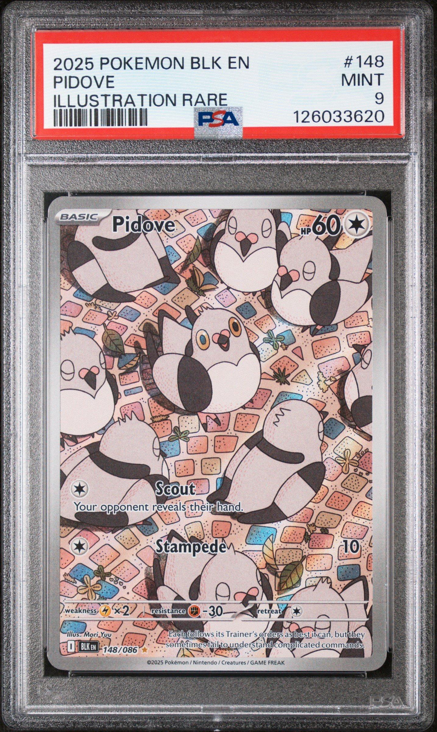 2025 Pokemon Blk En-black Bolt 148 Pidove Illustration Rare PSA 9