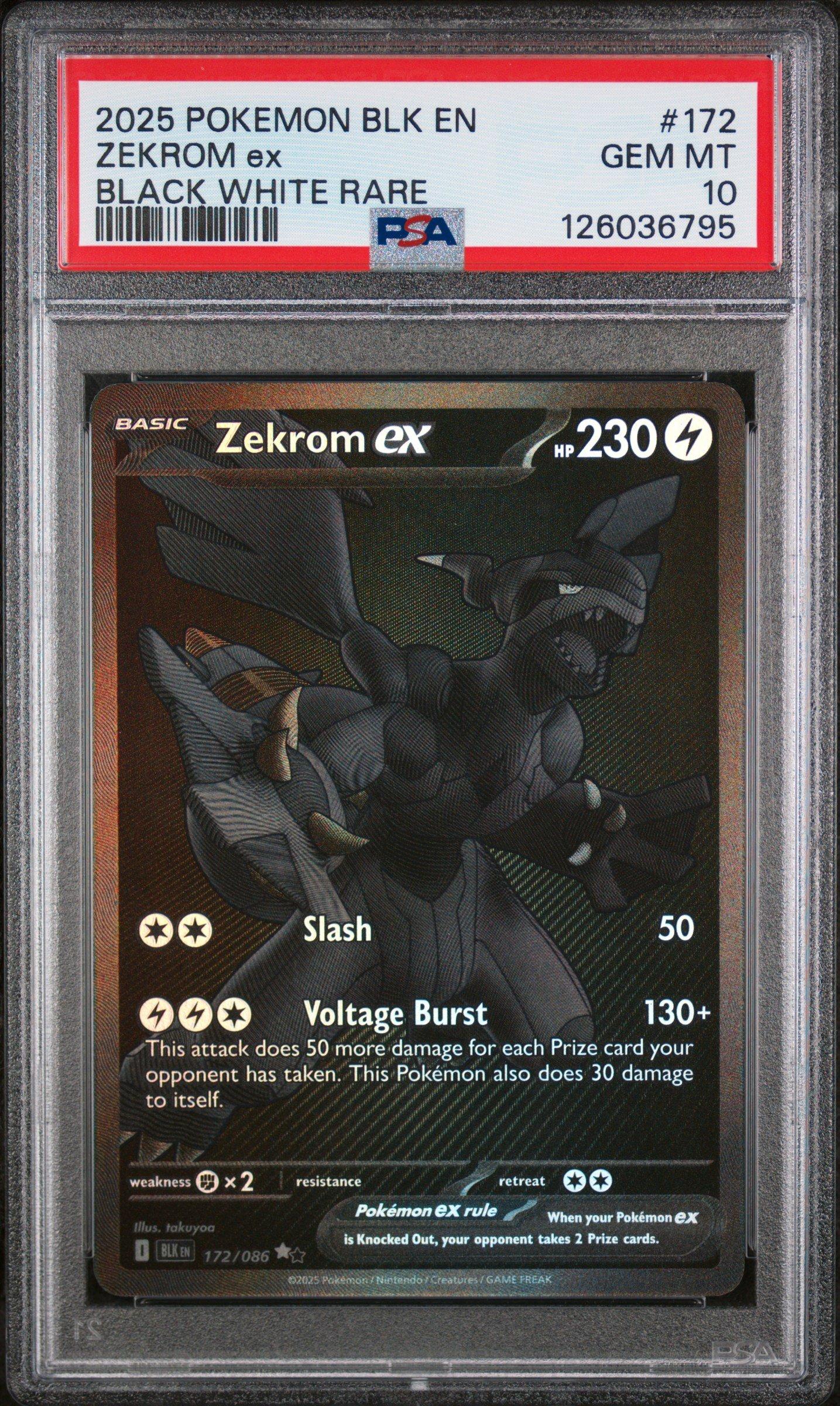 PSA10 2025 ポケモンカード N's Zekrom 210ARTRARE PSA 10 N's Reshiram Zekrom AR 109/100 210/193 MEGA Dream Pokemon
