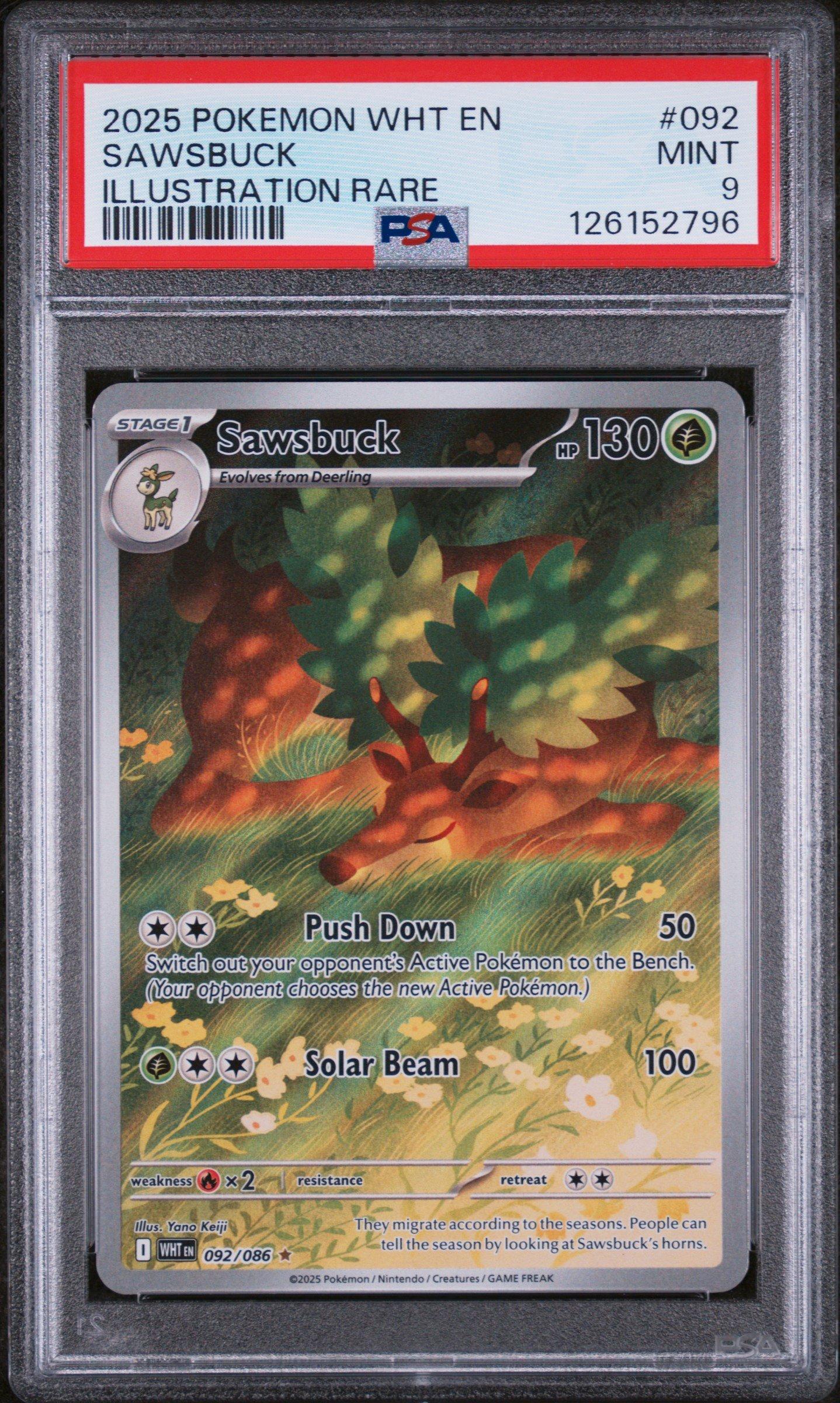 2025 Pokemon Wht En-white Flare 092 Sawsbuck Illustration Rare PSA 9
