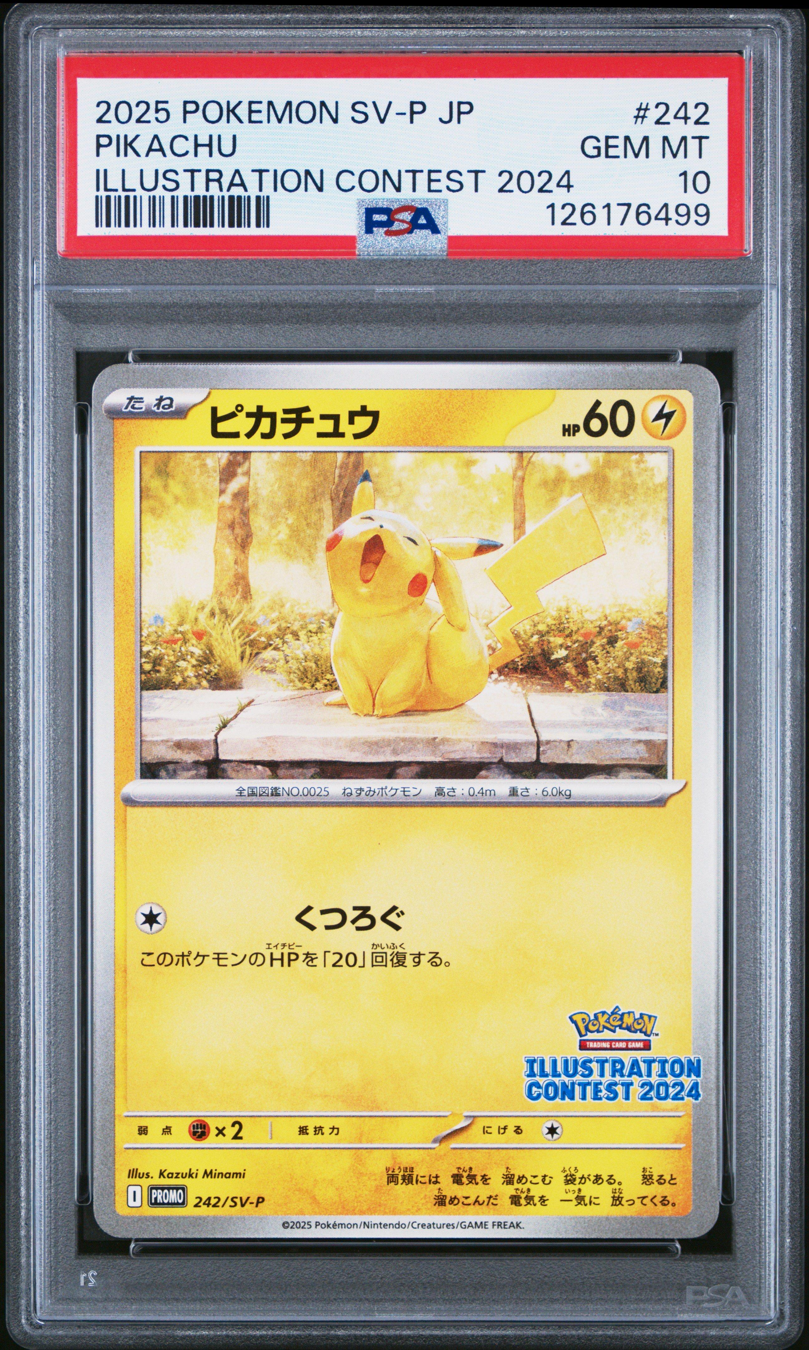 連番　2025 ピカチュウ イラストコンテスト PSA10 SV-P 2025 Pokemon Japanese Sv-p Promo 242 Pikachu Illustration Contest