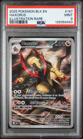 2025 Pokemon Blk En-black Bolt 147 Haxorus Illustration Rare PSA 9