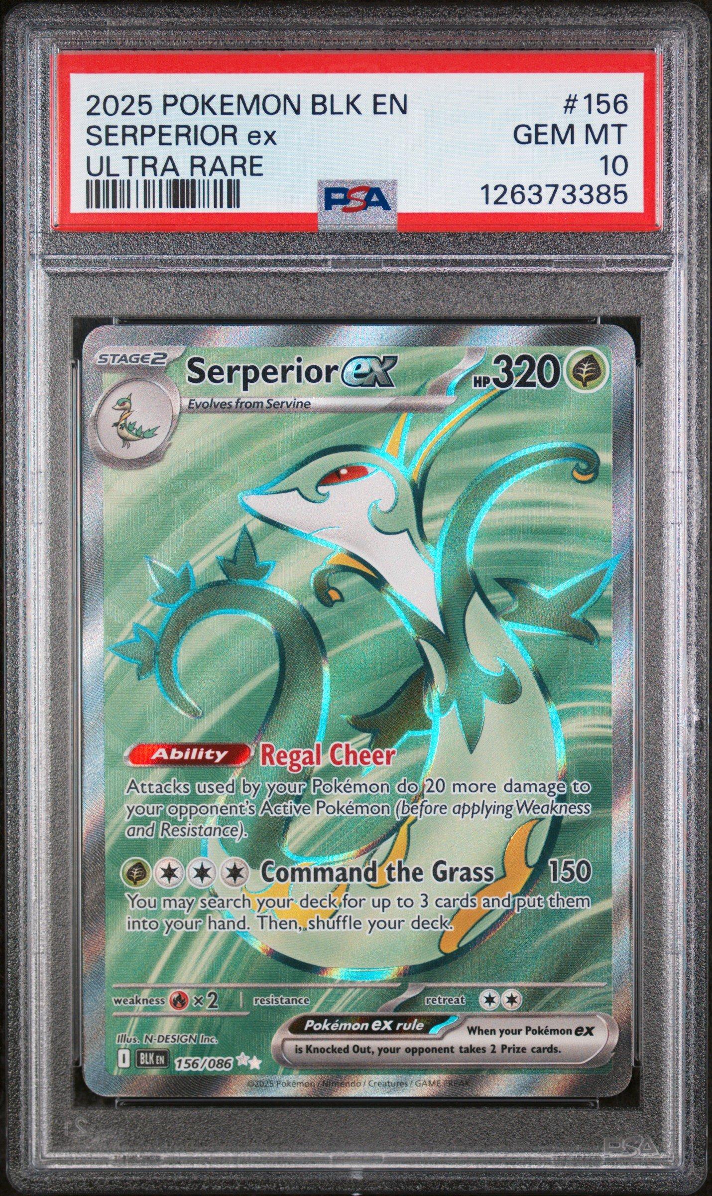 2025 Pokemon Blk En-black Bolt 156 Serperior Ex Ultra Rare PSA 10