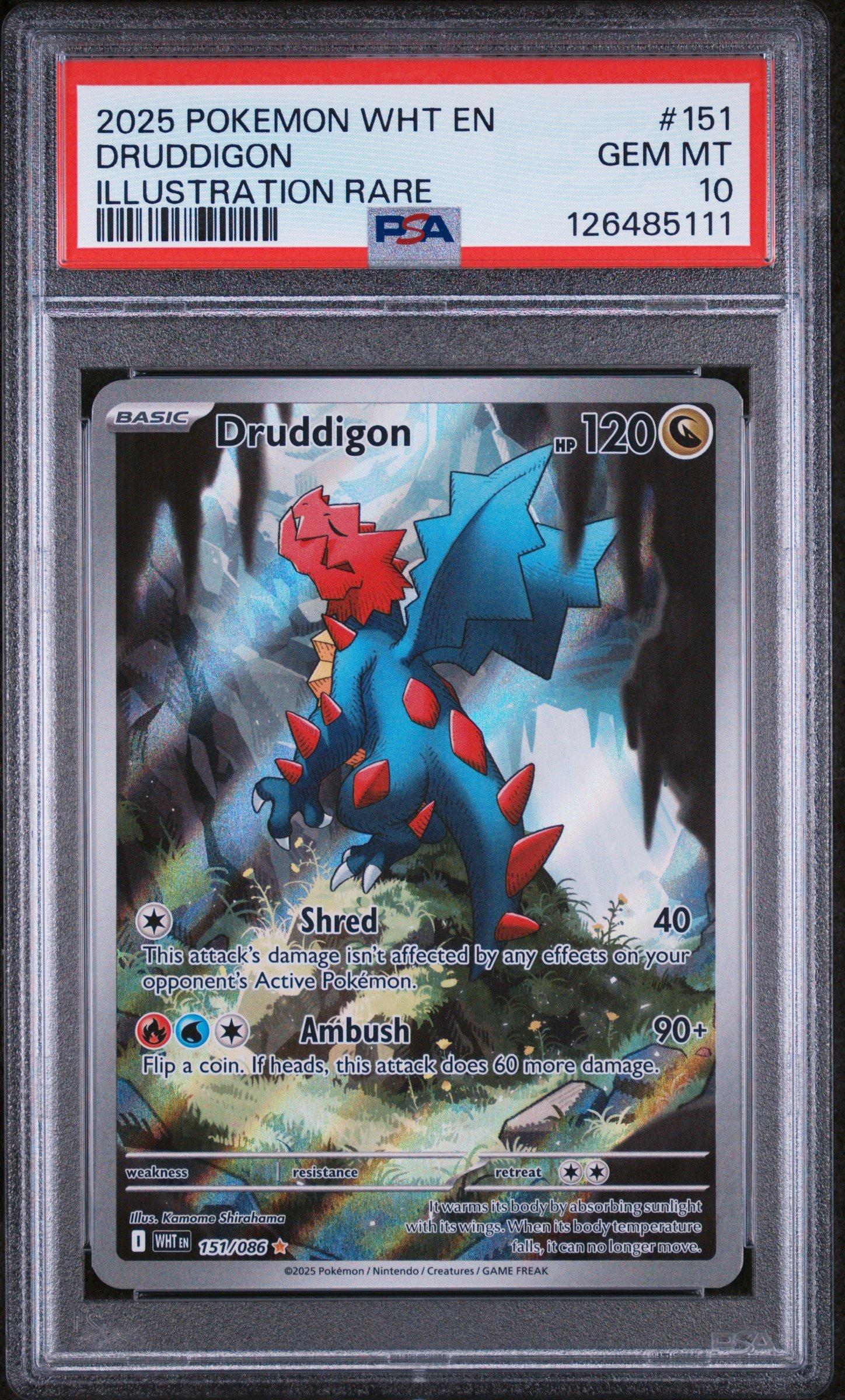pokemon card druddigon Druddigon 209/184