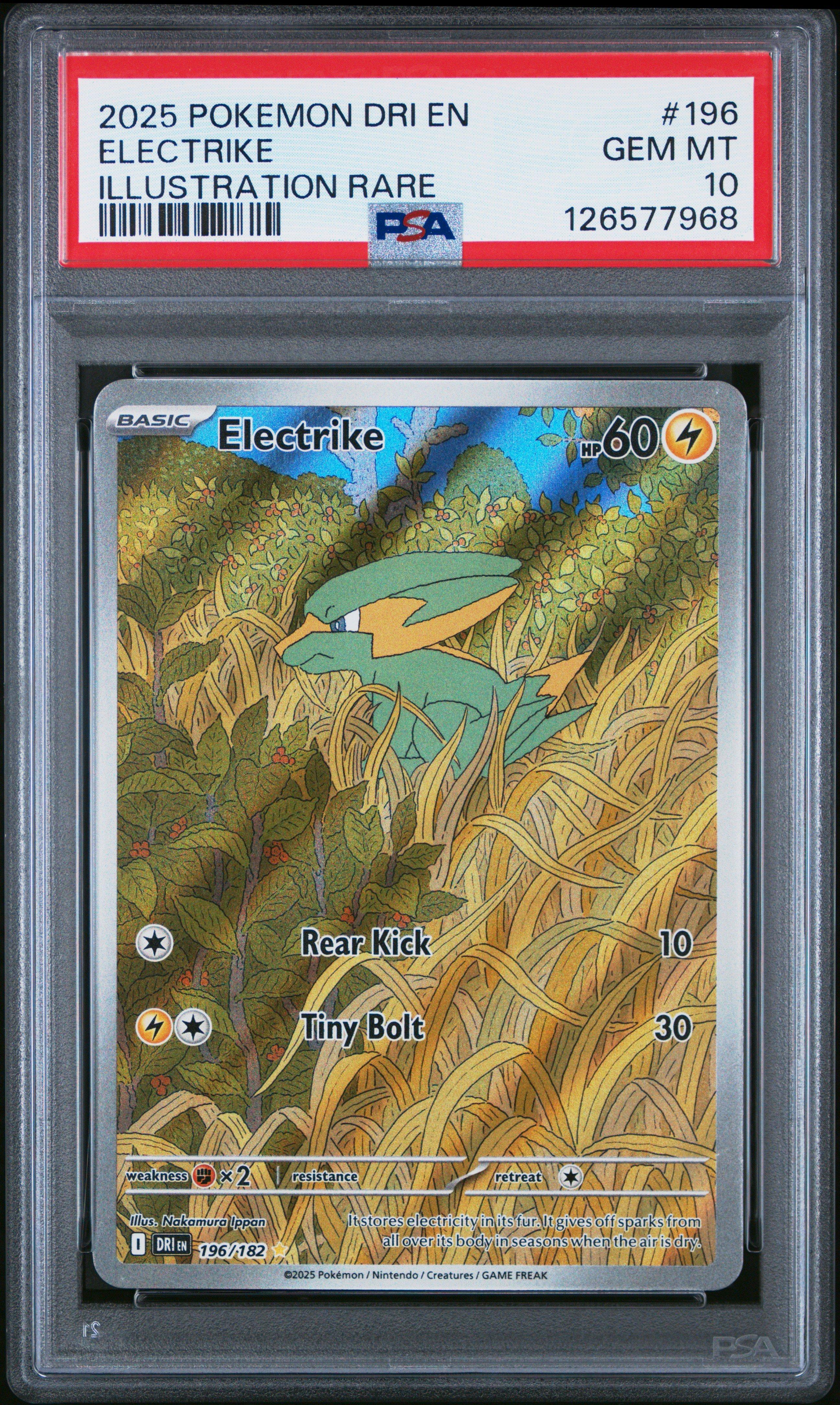 2025 Pokemon Dri En-destined Rivals 196 Electrike Illustration