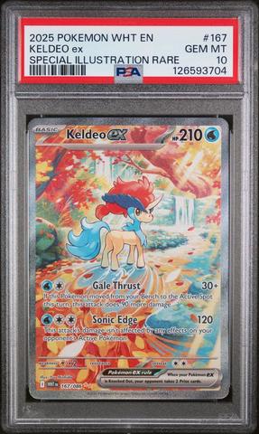 【PSA10】ベル　ロルカナ ディズニー ロルカナ ベル エンチャンテッド PSA10 LORCANA