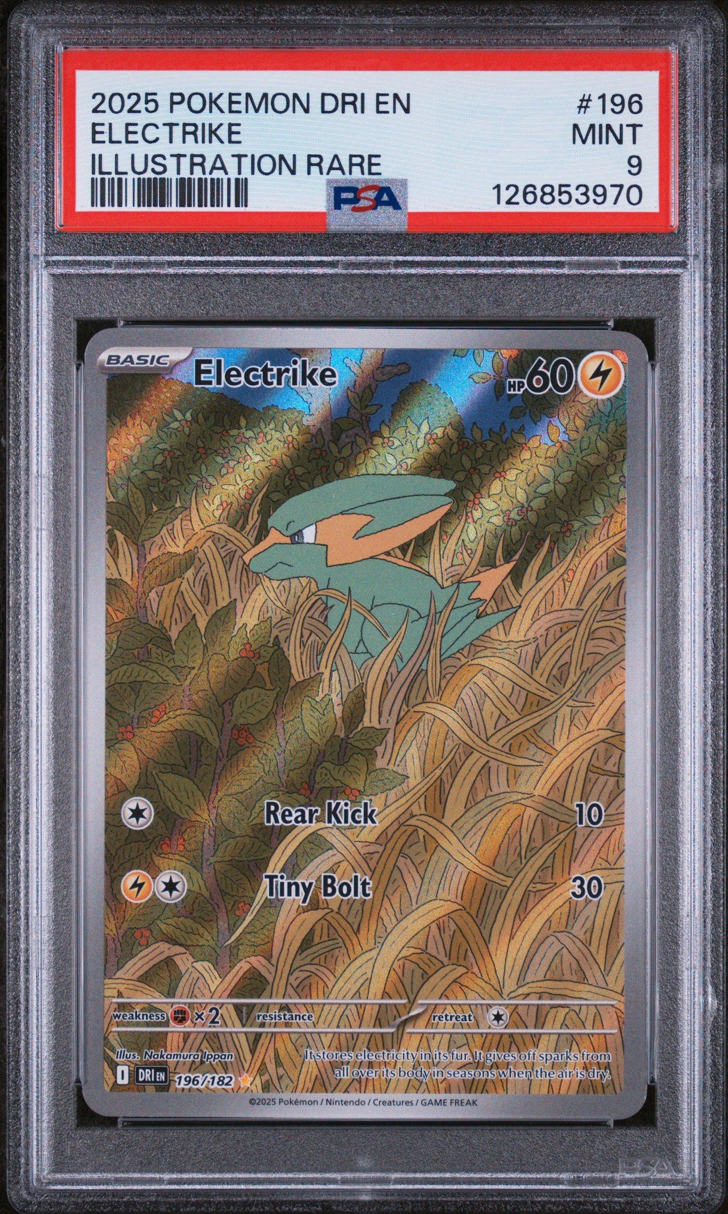 2025 Pokemon Dri En-destined Rivals 196 Electrike Illustration