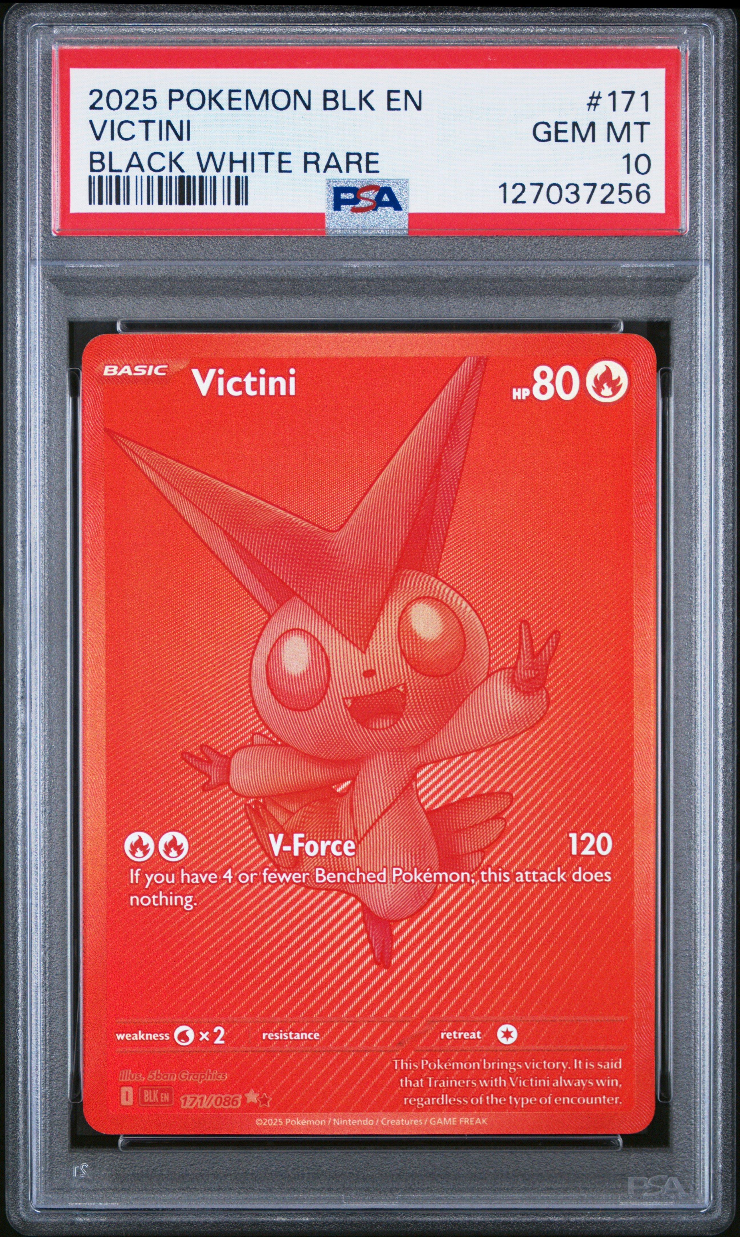 2025 ポケモンカード ビクティニ #097/086 AR PSA10 ビクティニ(097/086 AR) | AR | ドラゴンスター | ポケモンカード