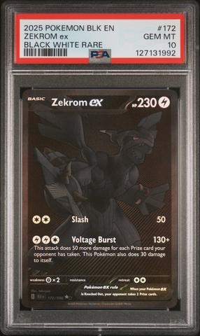 ゼクロムex PSA 10 BW RARE ゼクロム ex PSA 10 GEM MT 174 BW RARE PSA10』ゼクロム ex #174 BW