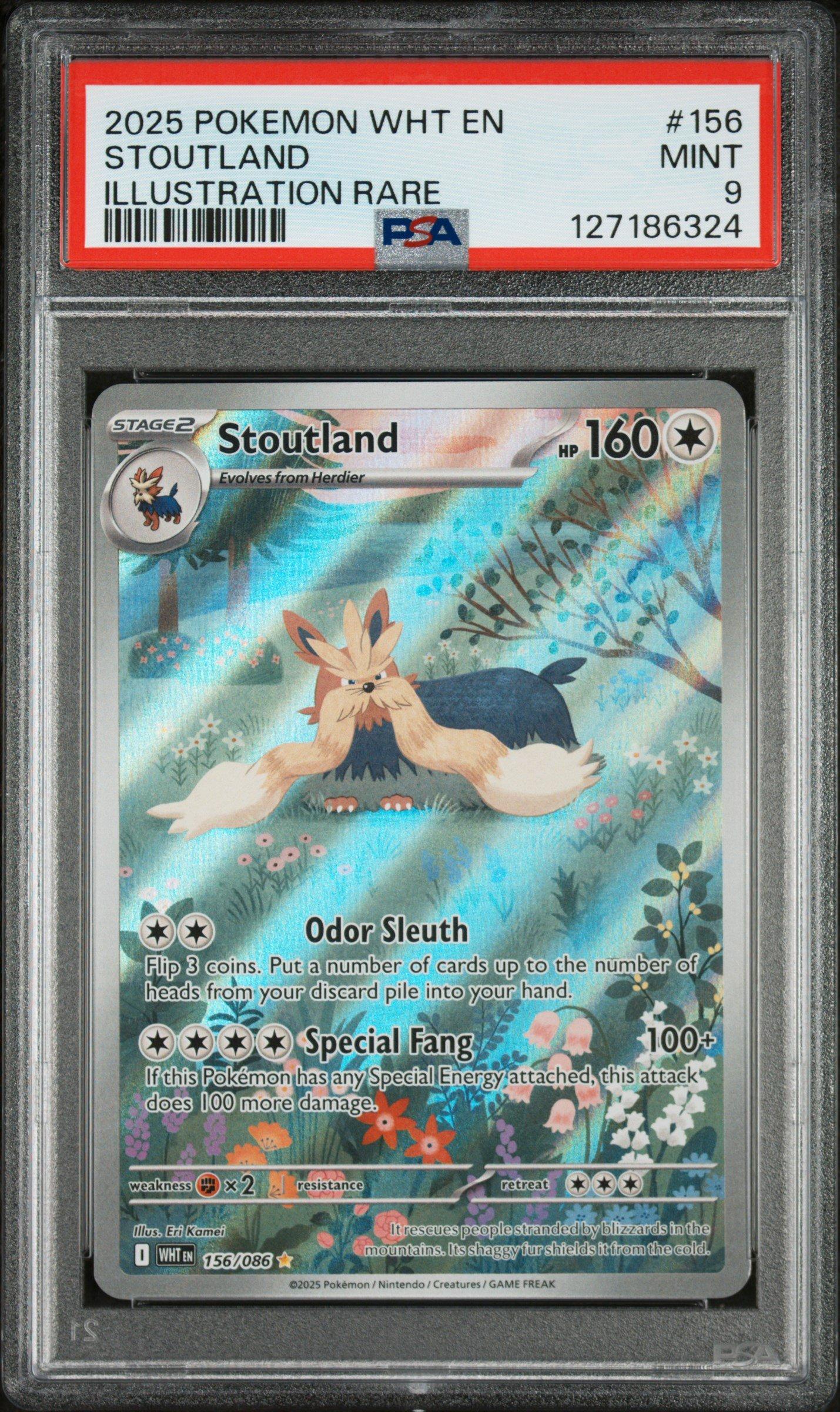 pokemon card stoutland PSA 10]{061/049} FA/STOUTLAND main image 0