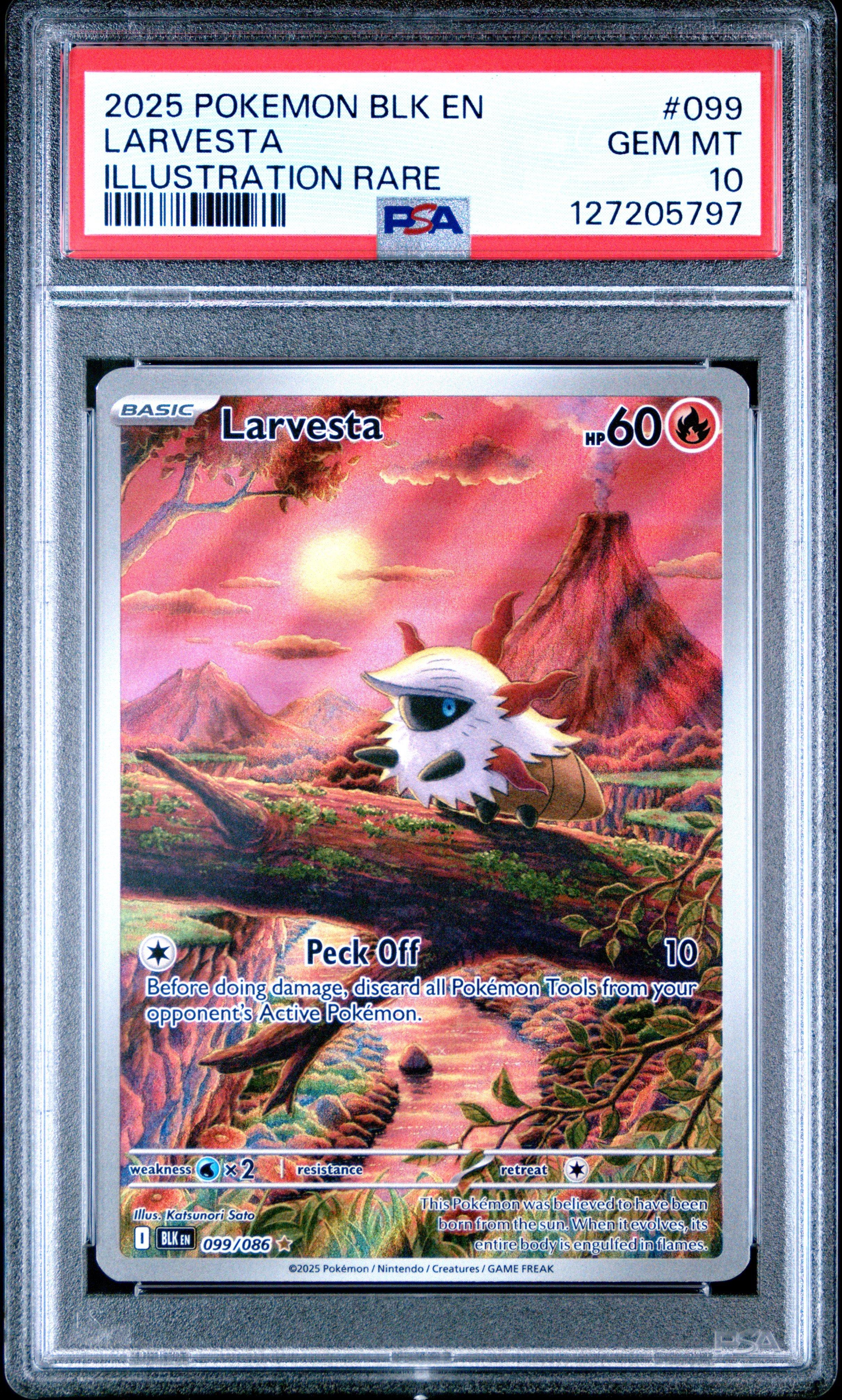2025 Pokemon Blk En-black Bolt 099 Larvesta Illustration Rare PSA