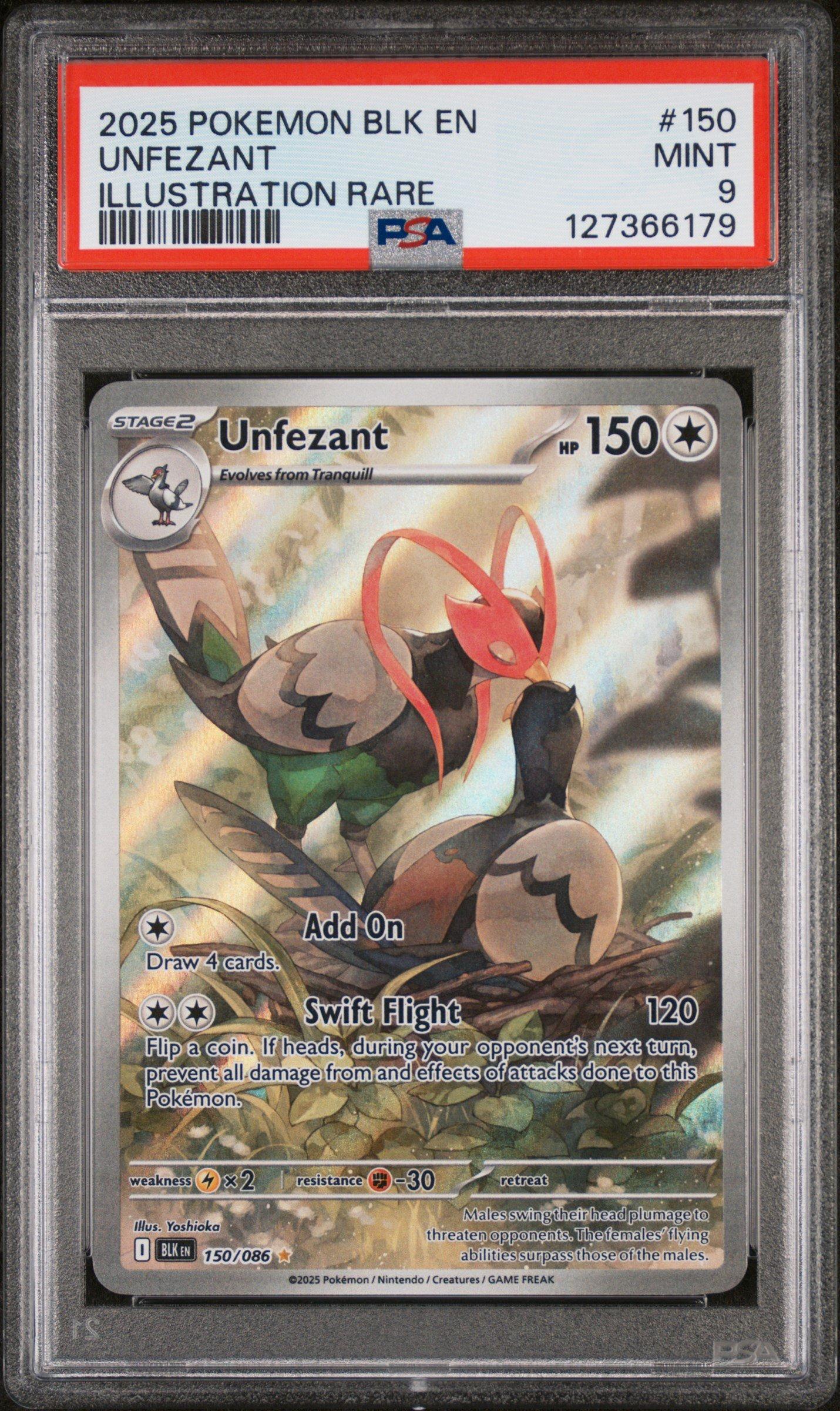 2025 Pokemon Blk En-black Bolt 150 Unfezant Illustration Rare PSA 9