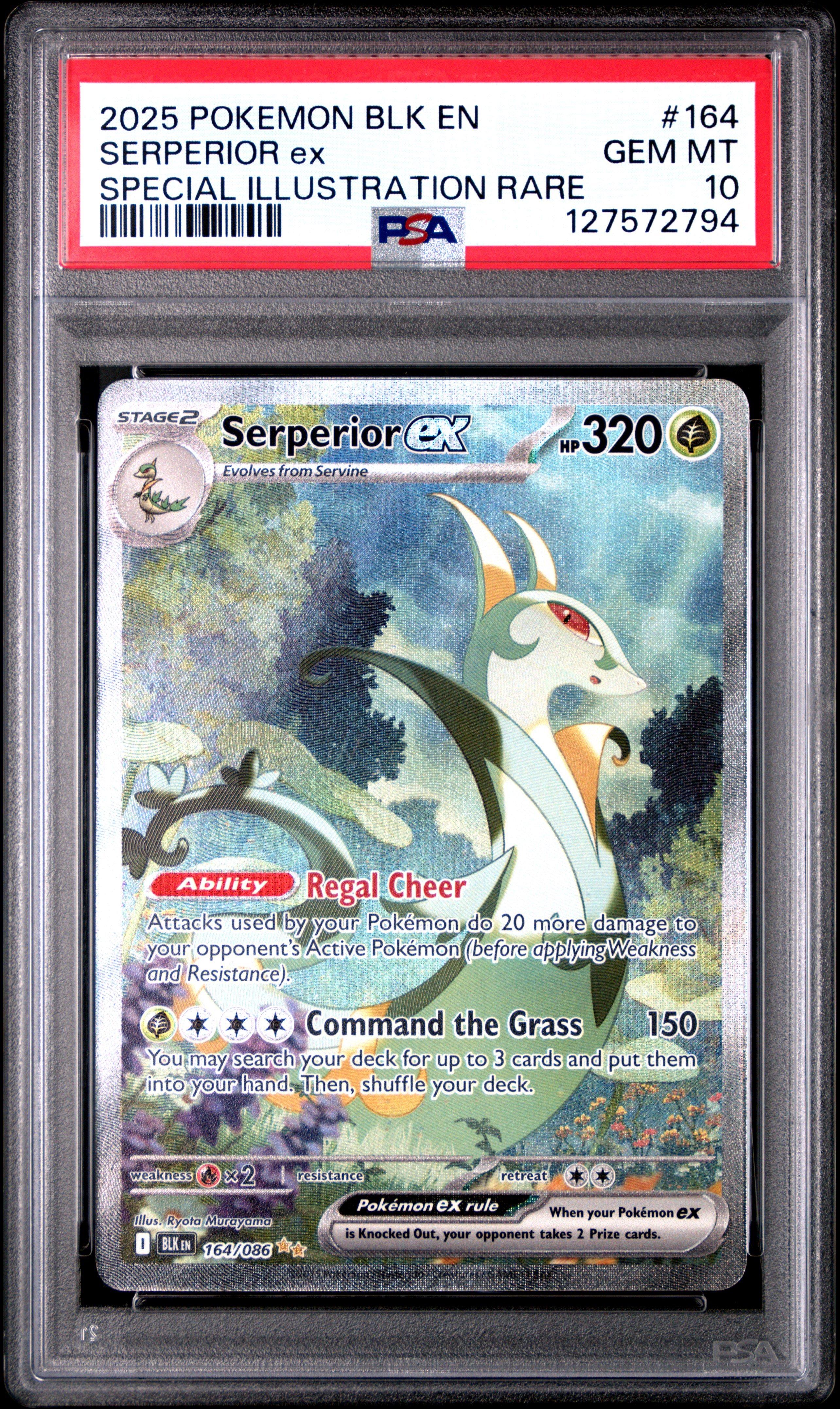 serperior ex pokemon card SAR Pokmon SV11B 167/086 end display Serperior - RomComGod
