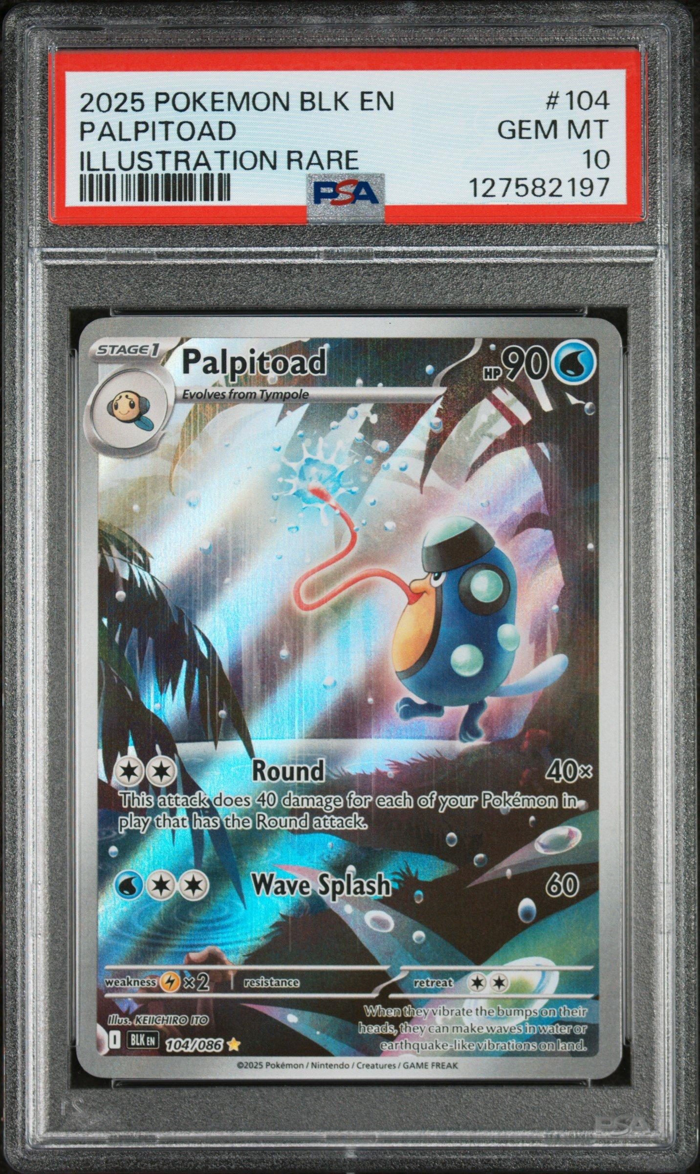 2025 Pokemon Blk En-black Bolt 104 Palpitoad Illustration Rare PSA