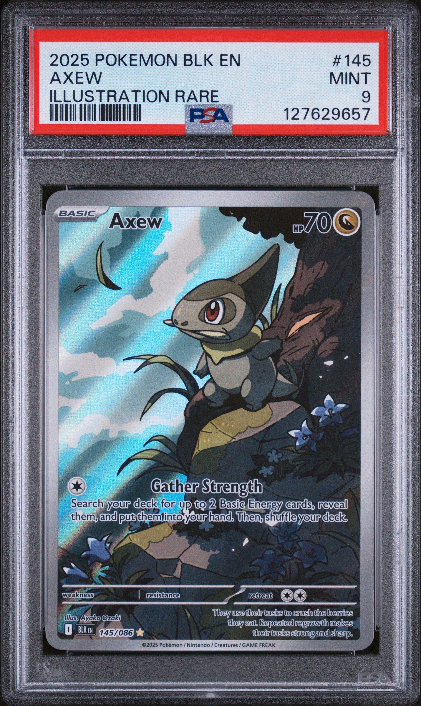 2025 Pokemon Blk En-black Bolt 145 Axew Illustration Rare PSA 9 Graded Card  | GameStop