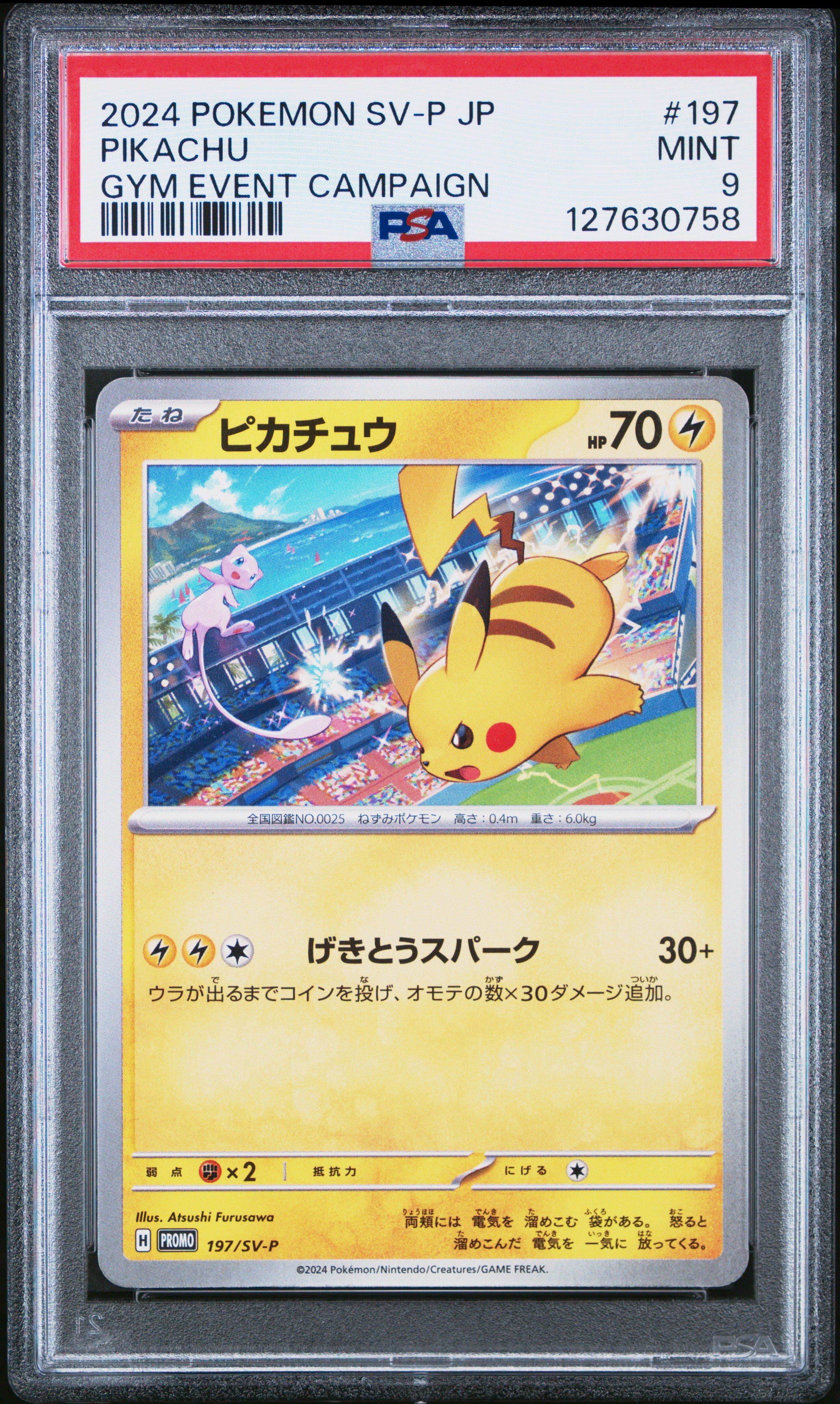 2024 Pokemon Japanese Sv-p Promo 197 Pikachu Gym Event Campaign