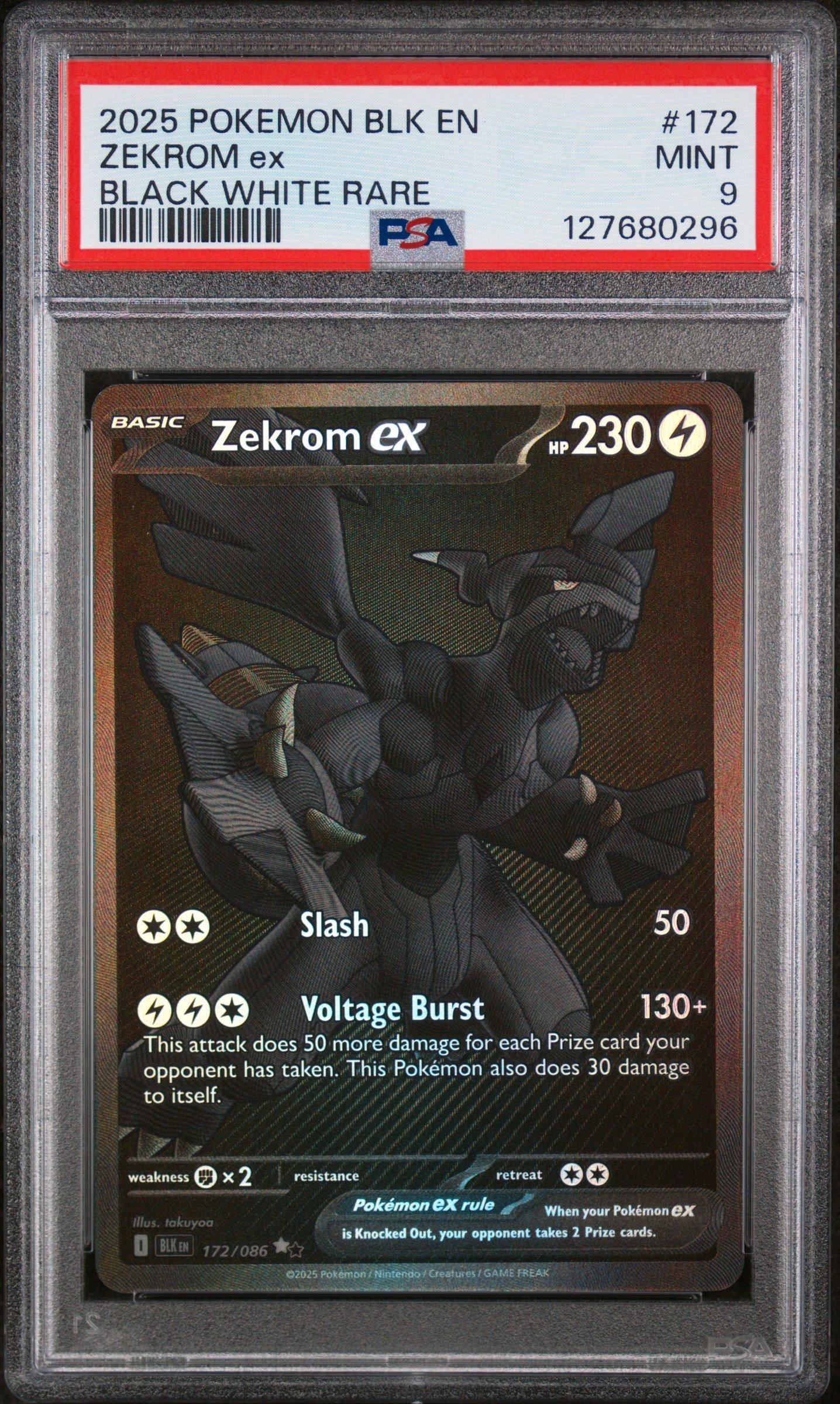 chinese booster box pokemon Pokmon Paradox Veil Jumbo Booster Box Simplified Chinese  Exp. Share  Collectible