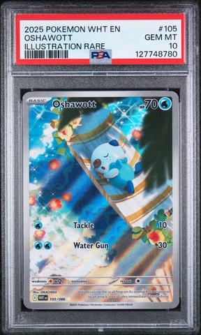 2025 Pokemon Wht En-white Flare 105 Oshawott Illustration Rare PSA