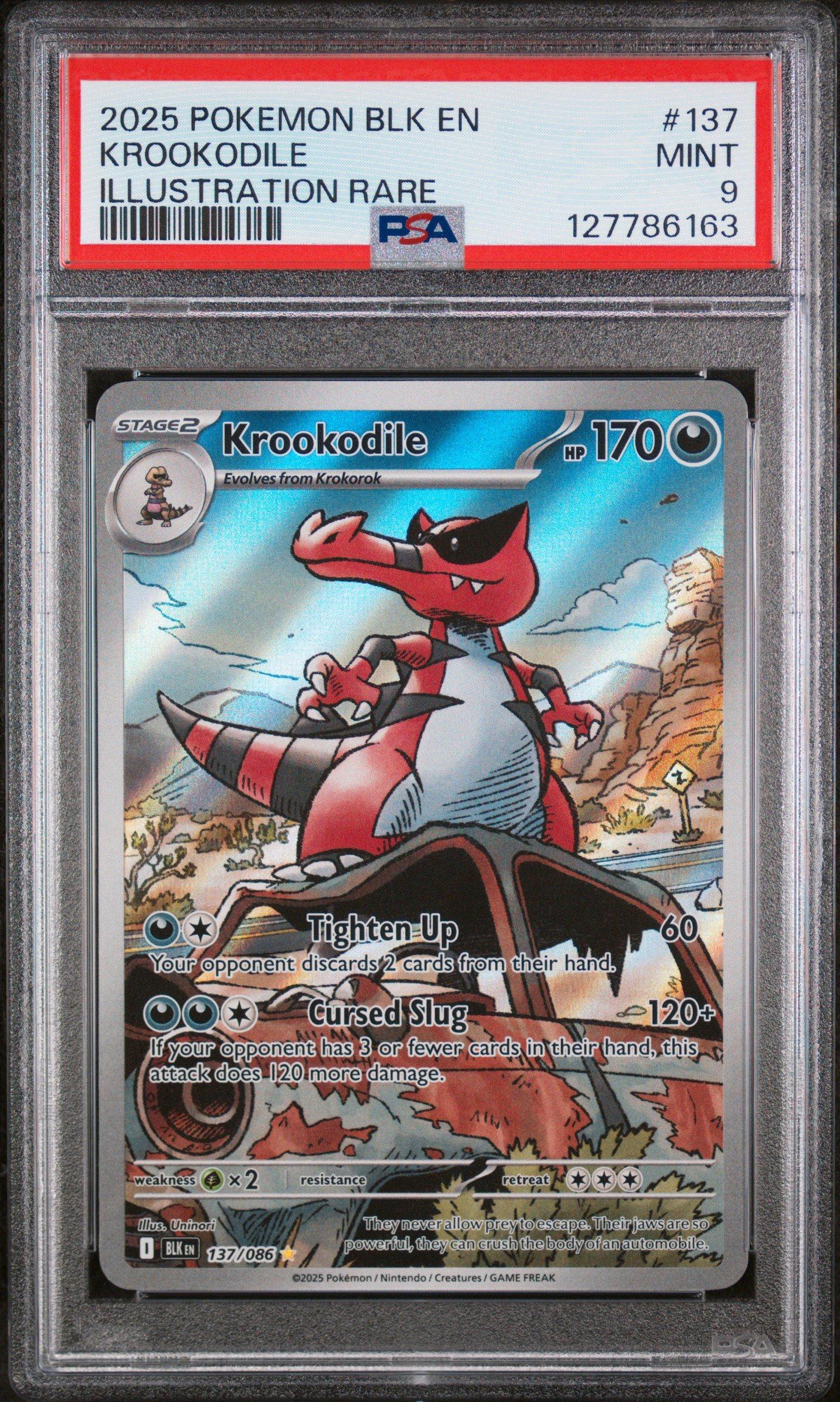 ドクロの丘 2025 Pokemon Blk En-black Bolt 137 Krookodile Illustration Rare