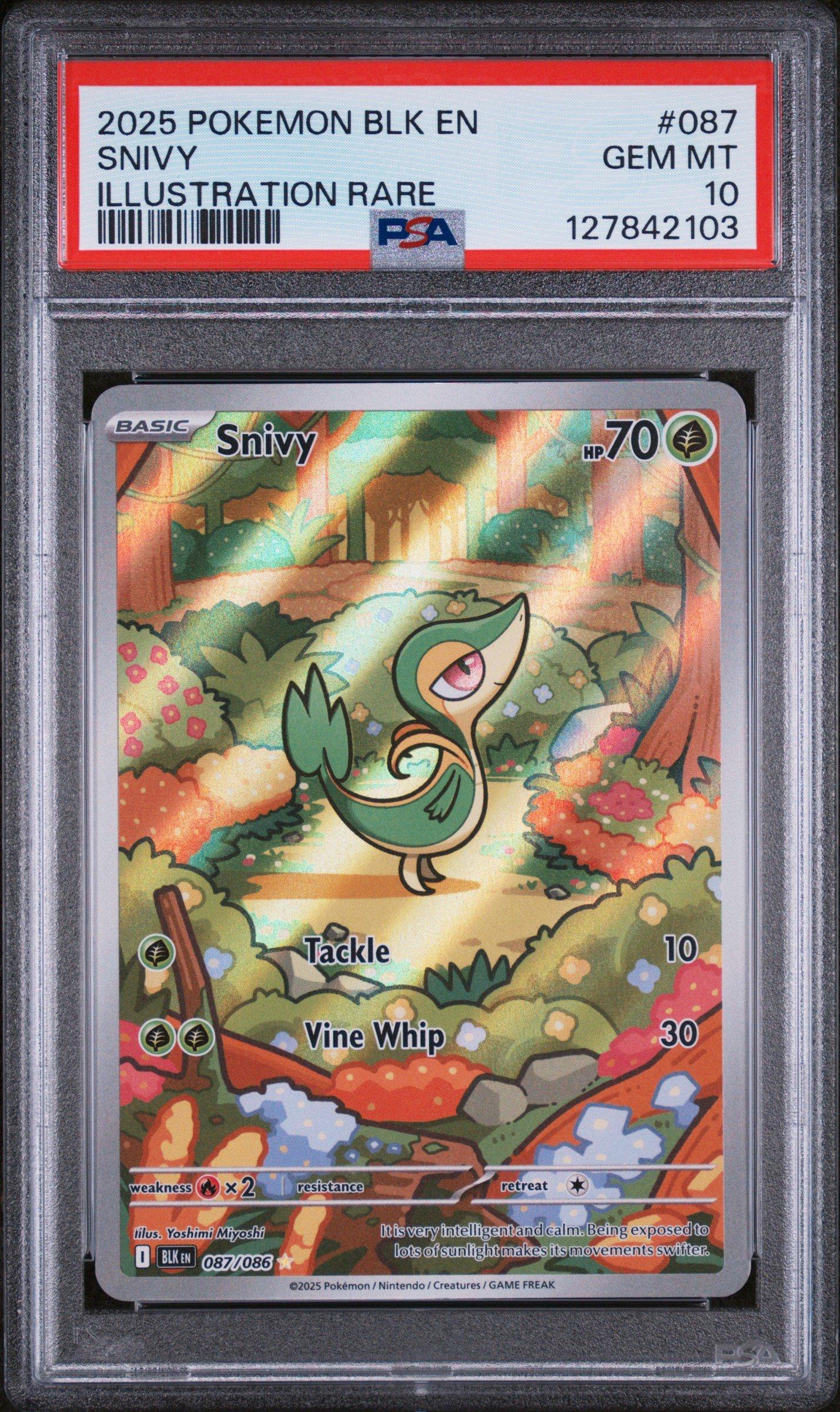2025 ポケモンカード スボミー ART RARE PSA10 2025 スボミー PSA 10 - カルドバ