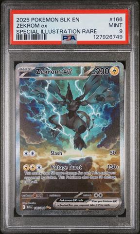 2025 Pokemon Blk En-black Bolt 135 Sandile Illustration Rare PSA 9