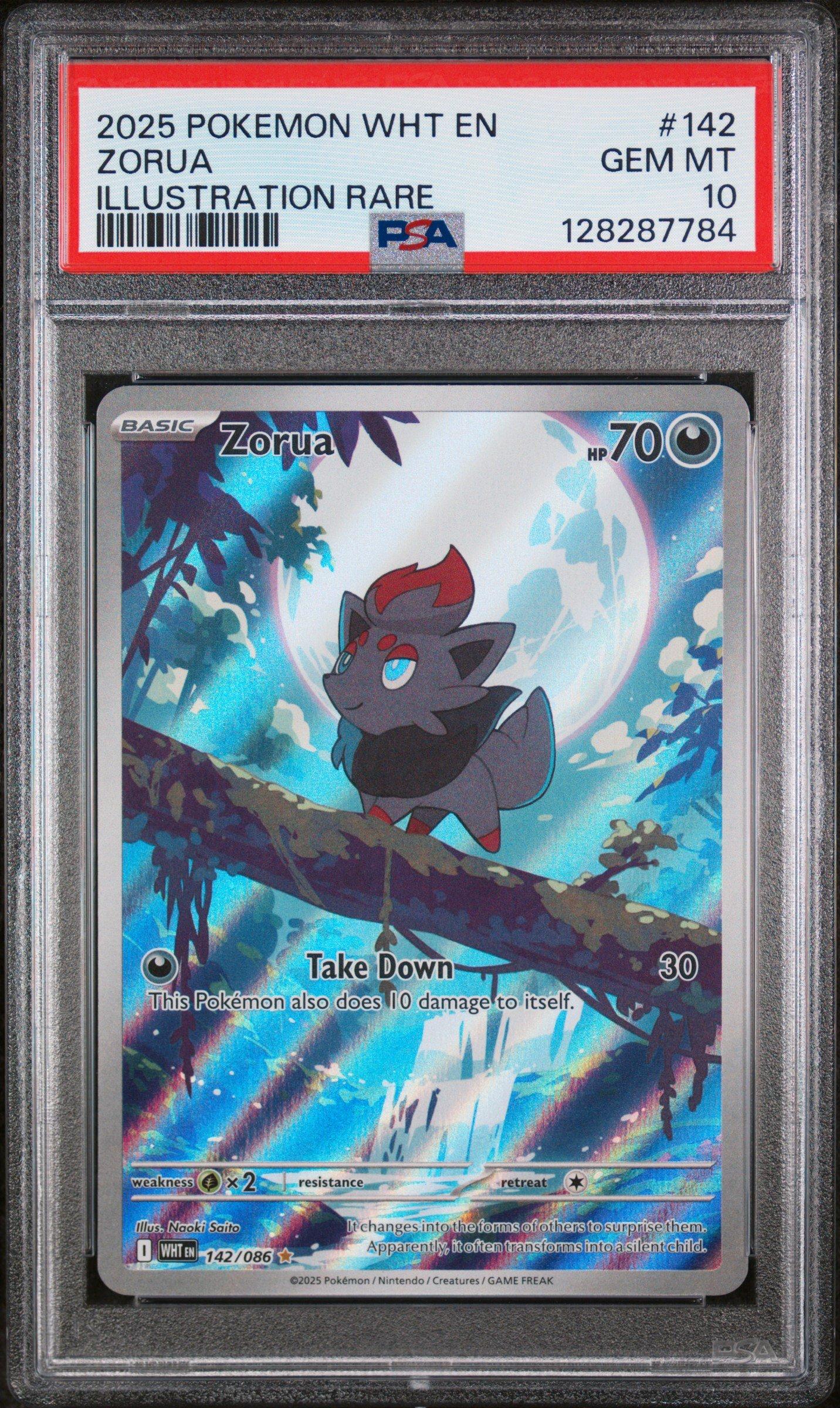 2025 Pokemon Wht En-white Flare 142 Zorua Illustration Rare PSA 10