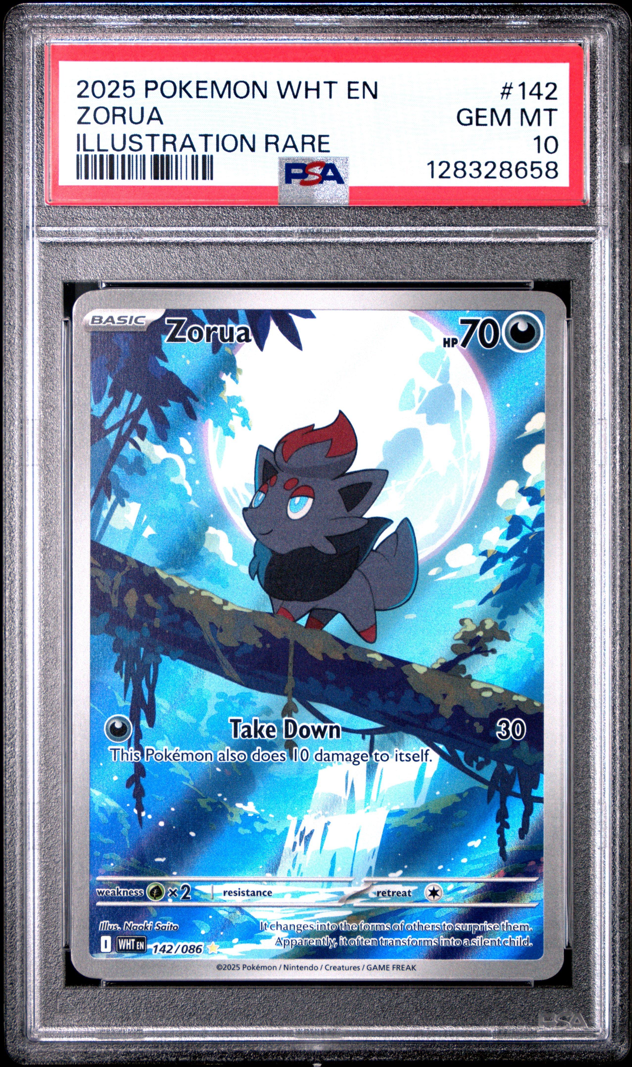 2025 Pokemon Wht En-white Flare 142 Zorua Illustration Rare PSA 10
