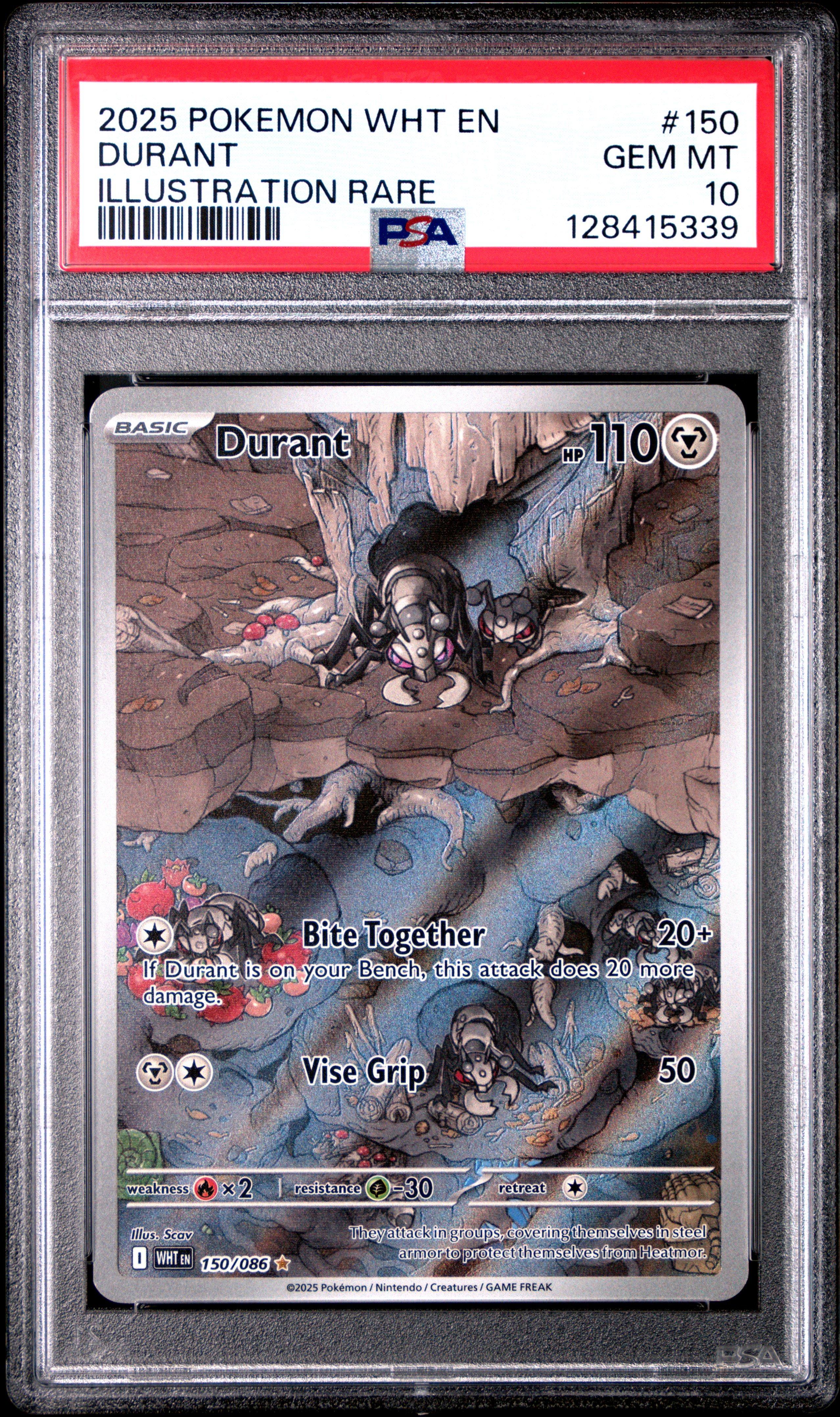 150 pokemon cards framed Venusaur ex from 151 Discover 11 Frame and pokemon