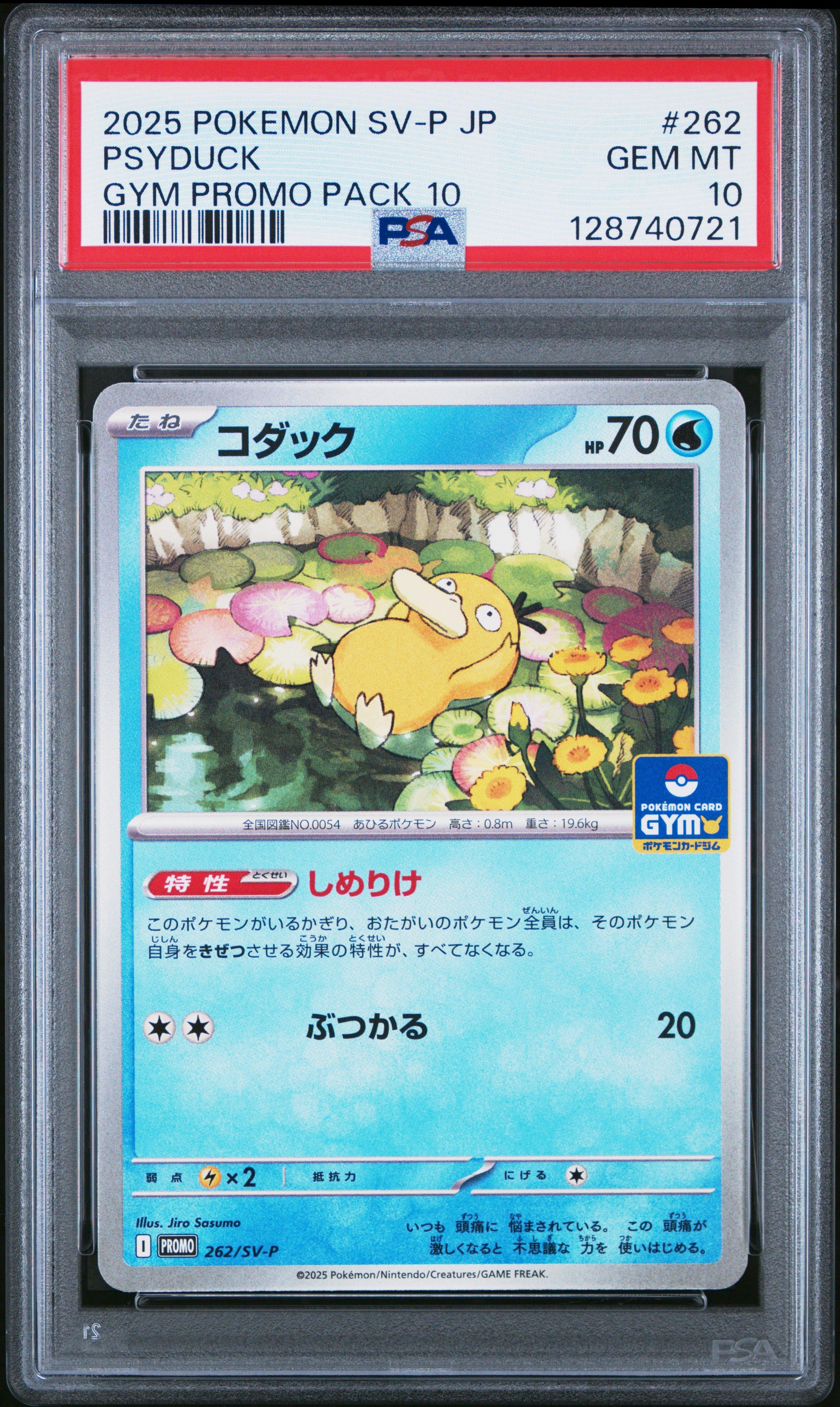 2025 Pokemon Japanese Sv-p Promo 262 Psyduck Gym Promo Pack 10 PSA