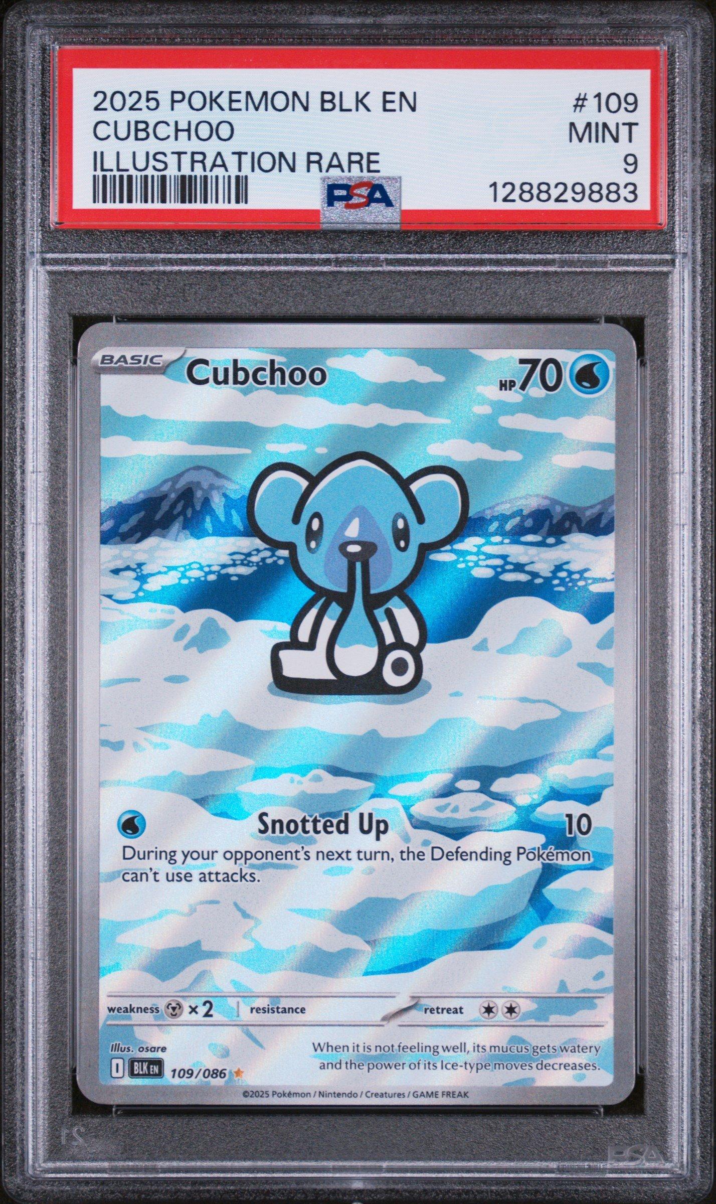 2025 Pokemon Blk En-black Bolt 109 Cubchoo Illustration Rare PSA 9