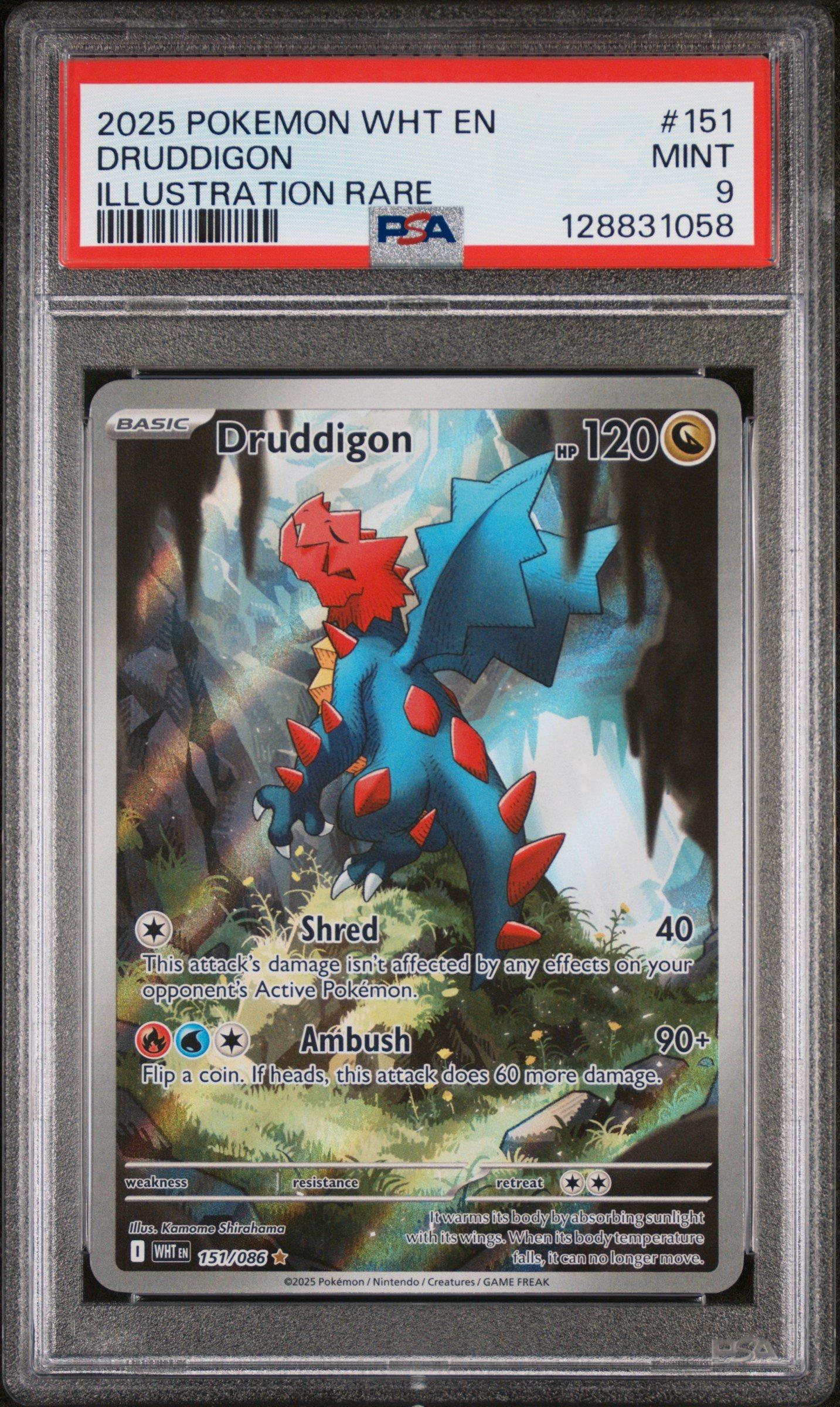2025 Pokemon Wht En-white Flare 151 Druddigon Illustration Rare PSA 9  Graded Card | GameStop
