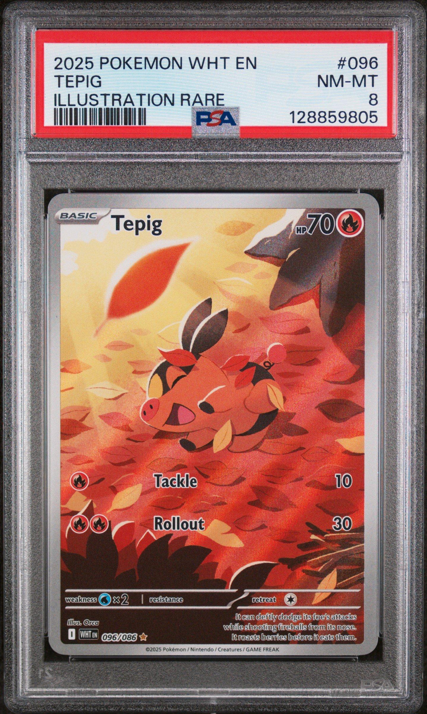 2025 Pokemon Wht En-white Flare 096 Tepig Illustration Rare PSA 8