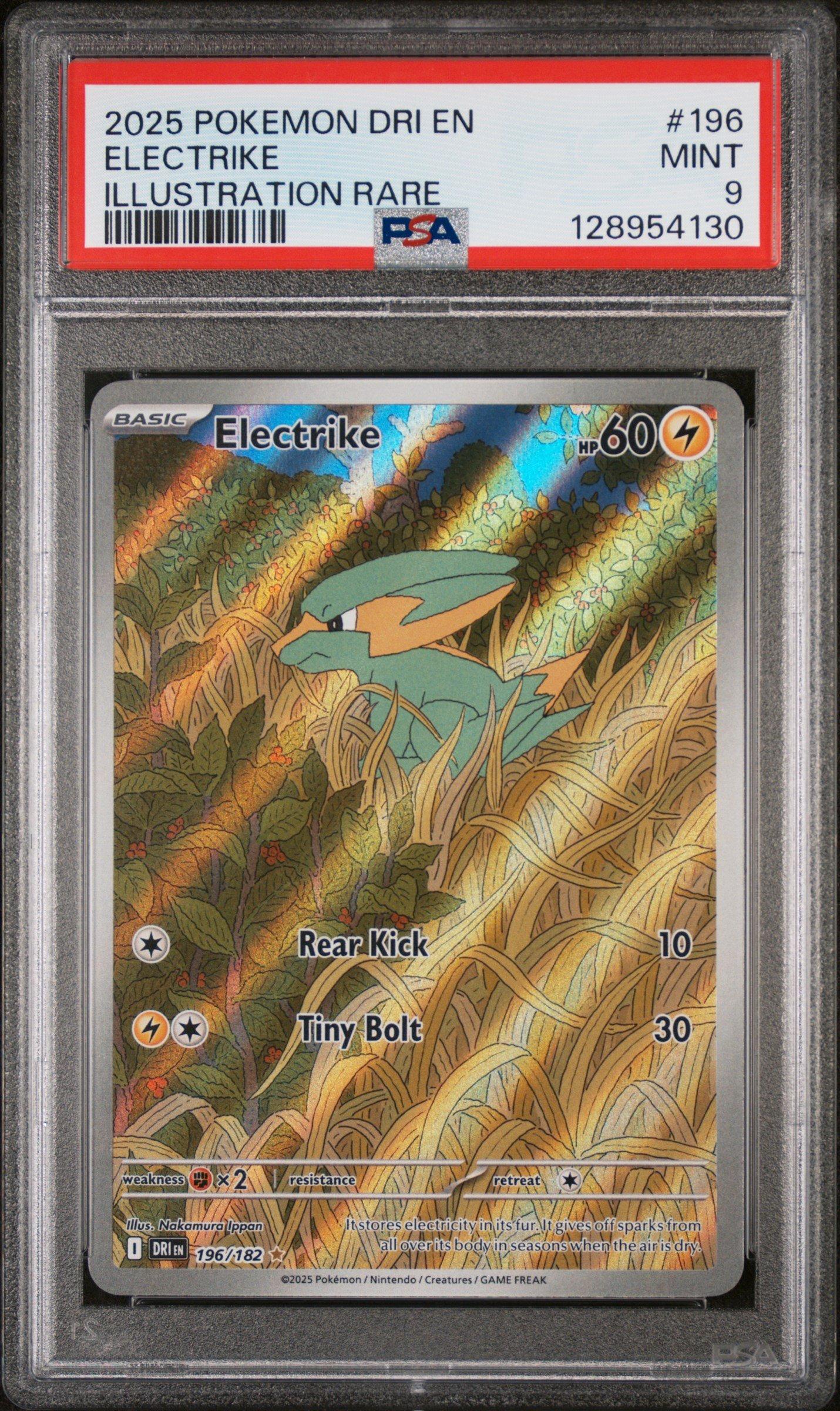 2025 Pokemon Dri En-destined Rivals 196 Electrike Illustration