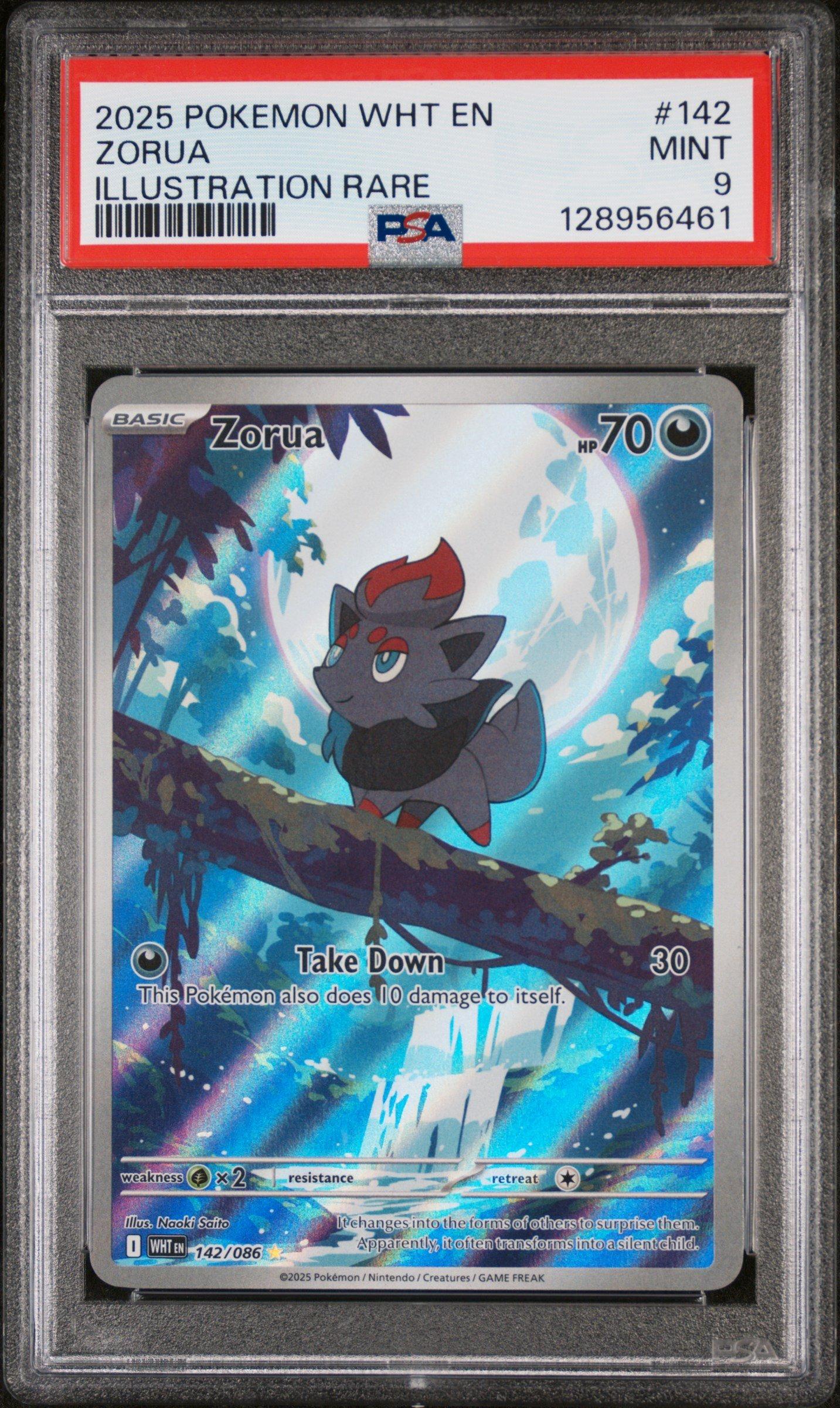 2025 Pokemon Wht En-white Flare 142 Zorua Illustration Rare PSA 9