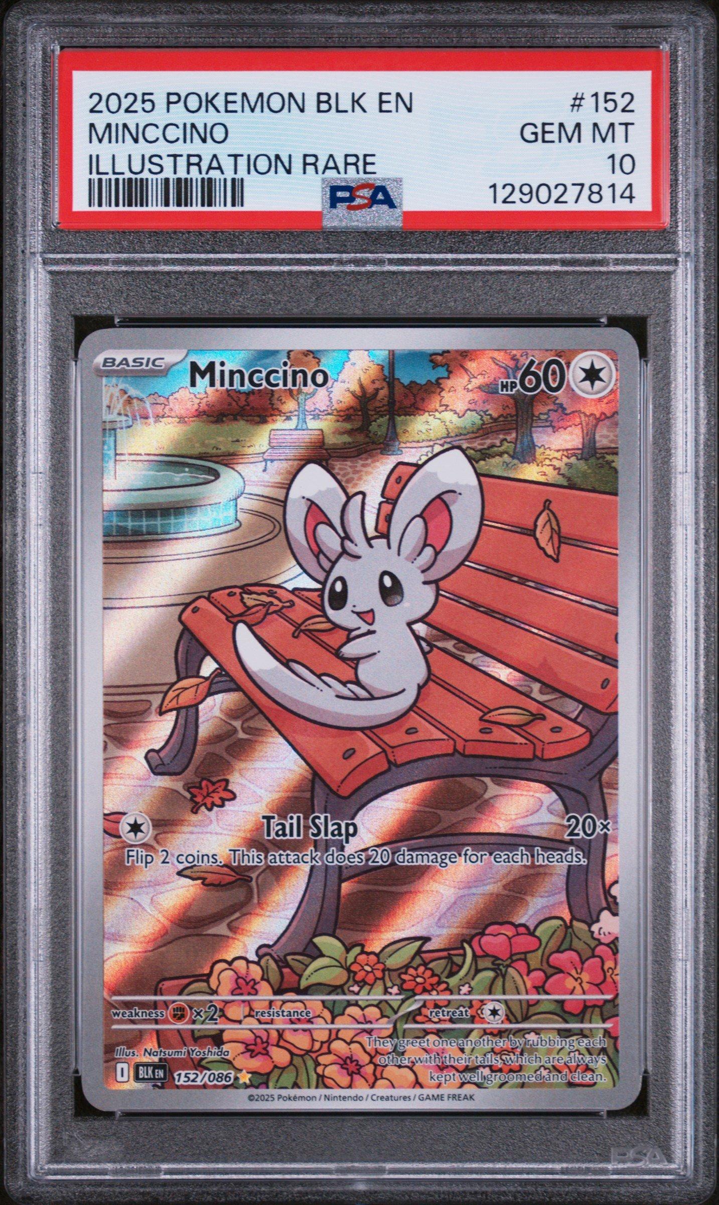 2025 Pokemon Blk En-black Bolt 152 Minccino Illustration Rare PSA 10 Graded  Card | GameStop
