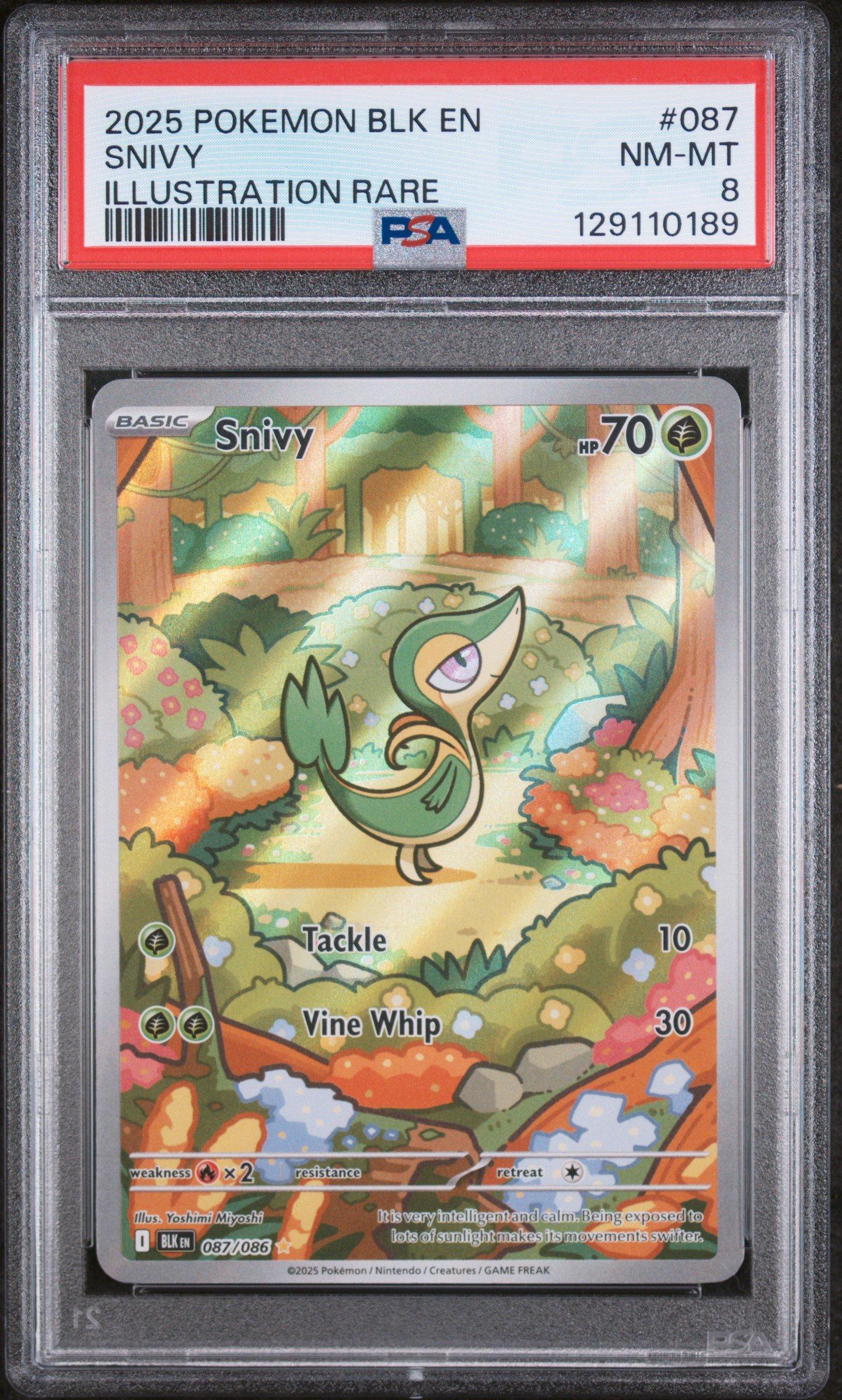 2025 Pokemon Blk En-black Bolt 087 Snivy Illustration Rare PSA 8