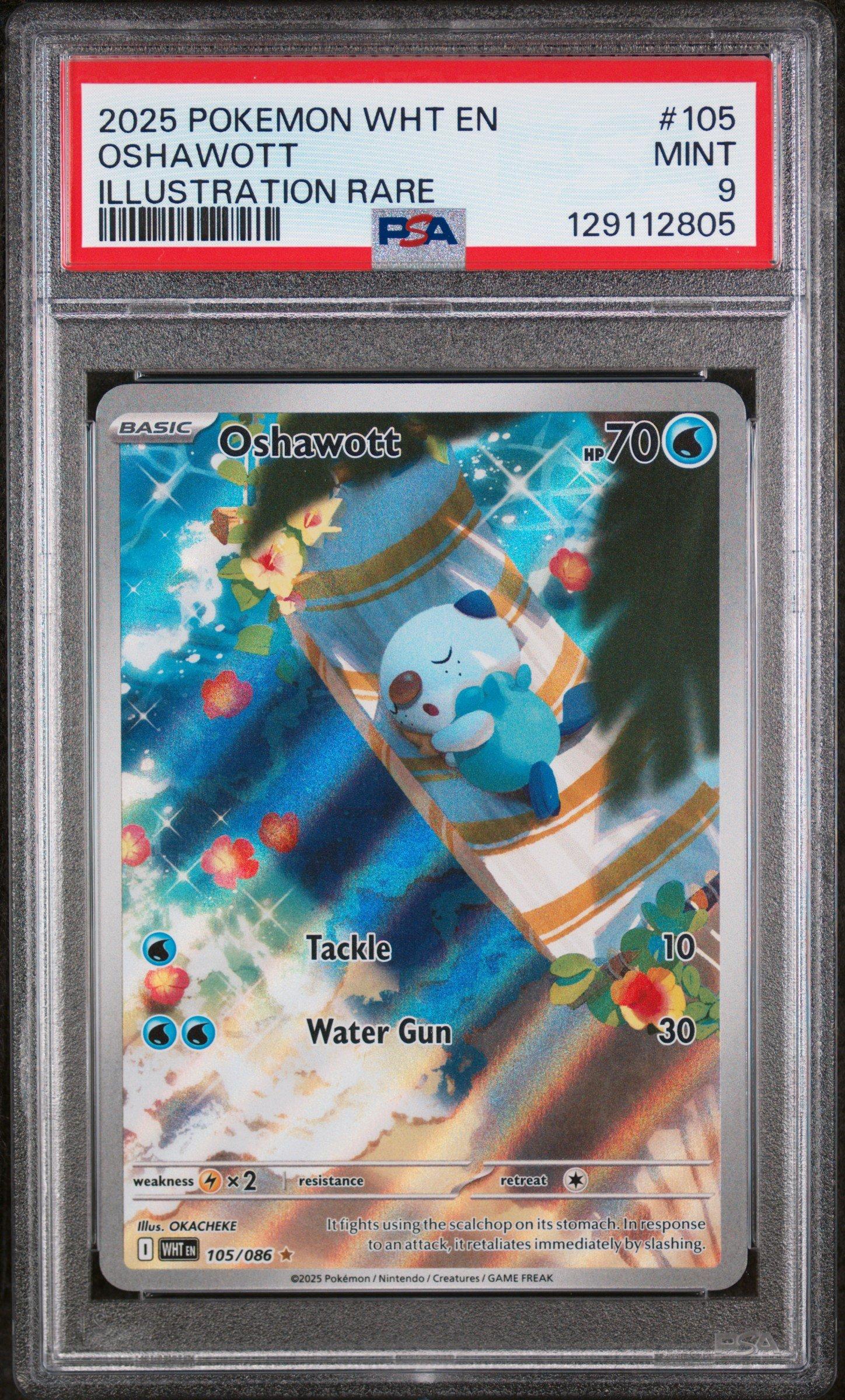 2025 Pokemon Wht En-white Flare 105 Oshawott Illustration Rare PSA