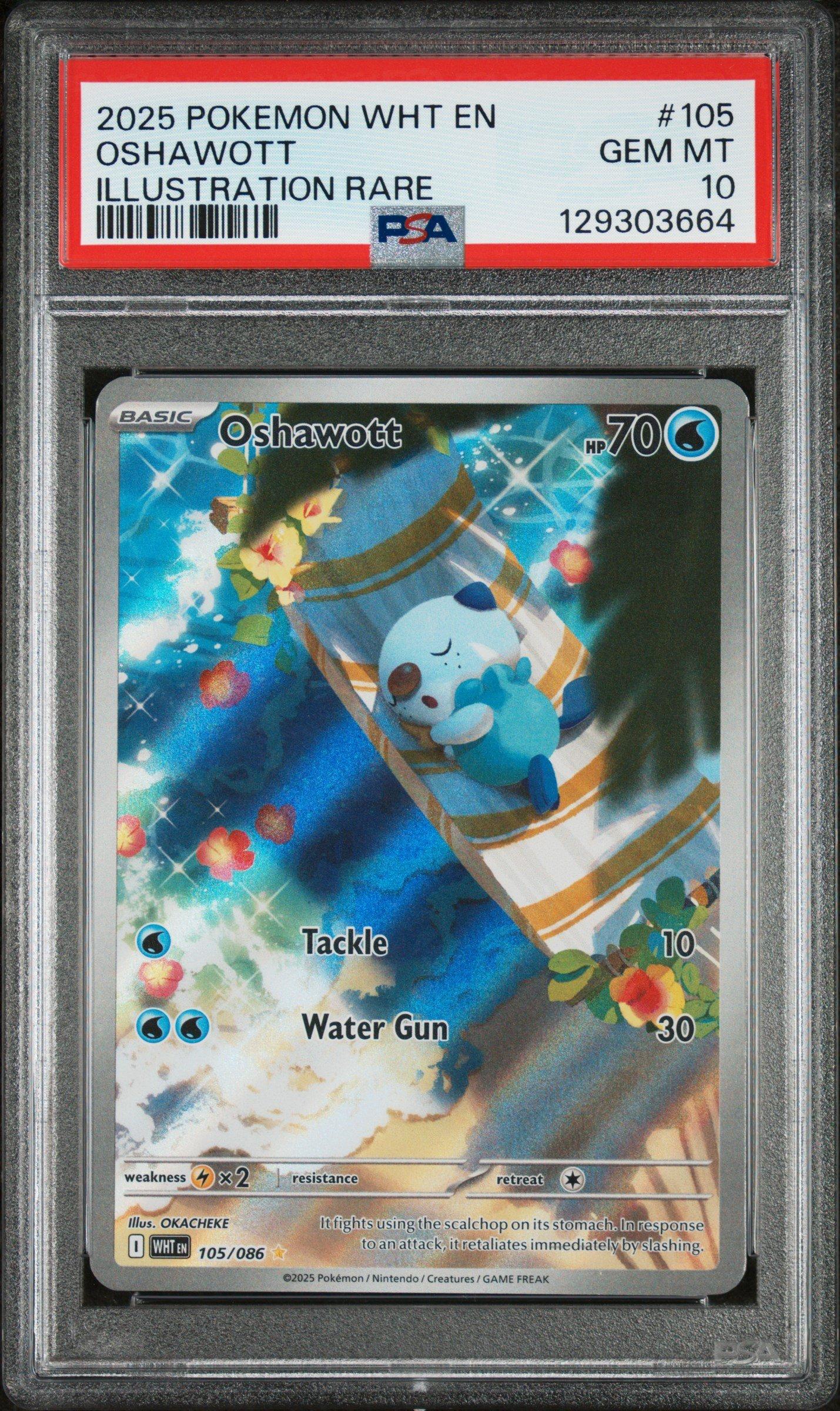 2025 ポケモンカード PSA10 2025 Pokemon Wht En-white Flare 105 Oshawott Illustration Rare PSA