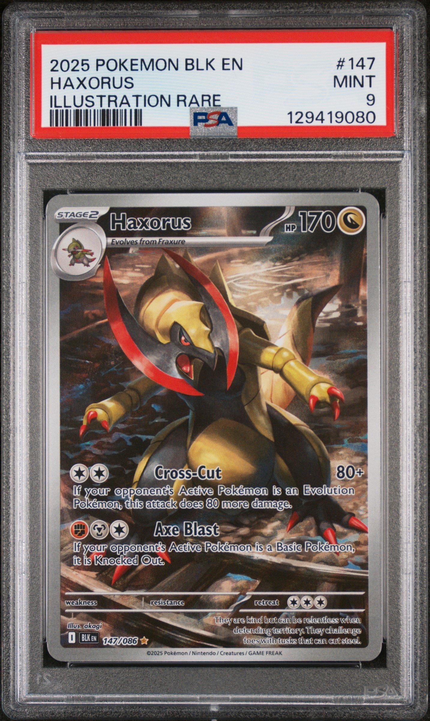 2025 Pokemon Blk En-black Bolt 147 Haxorus Illustration Rare PSA 9