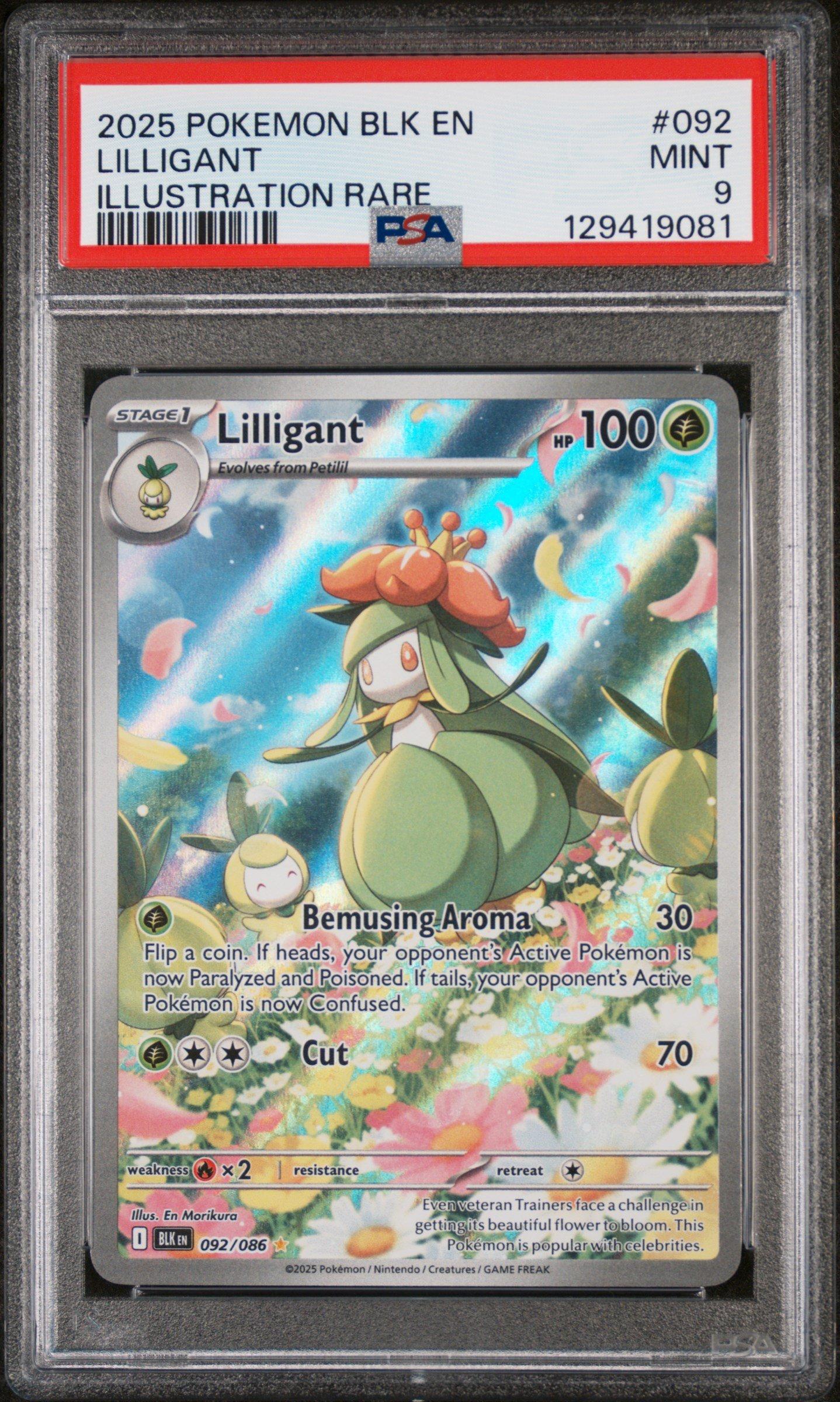 lilligant pokemon card Lilligant - 092/086 92