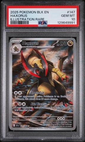 2025 Pokemon Blk En-black Bolt 147 Haxorus Illustration Rare PSA