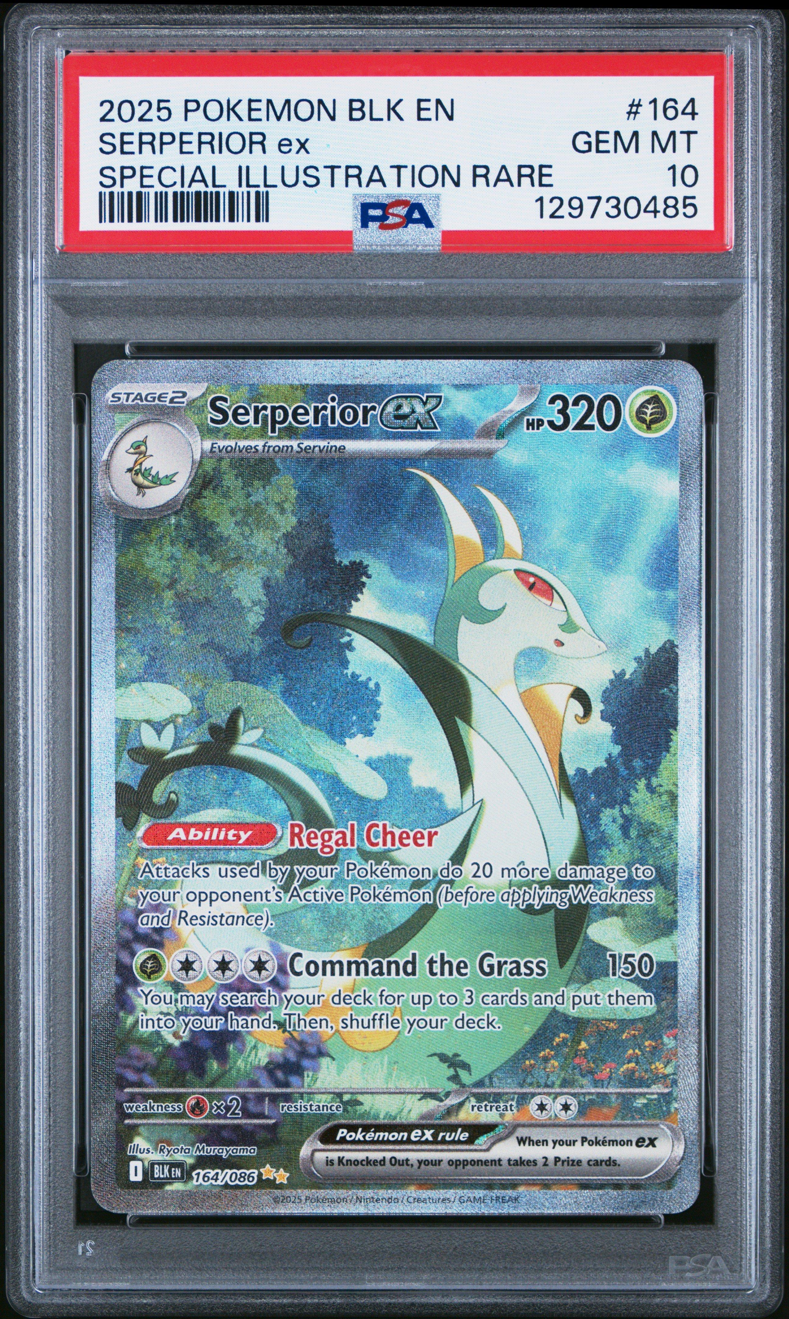 biggest pokemon card binder 4 Pocket Oversized Card Binder – Card-Binder.com